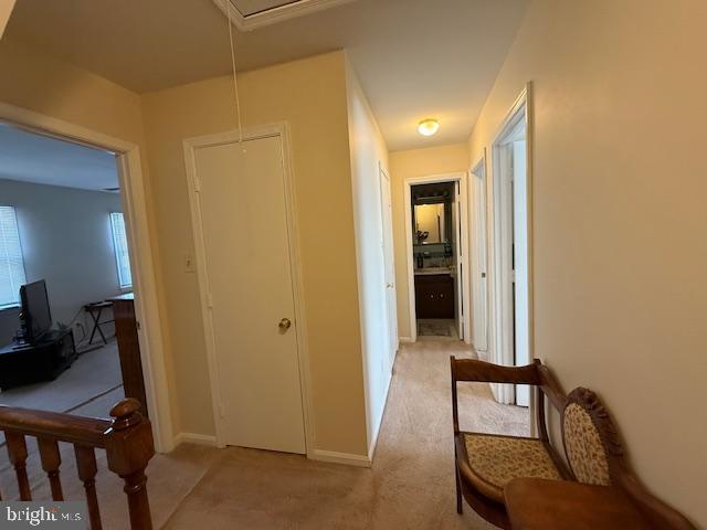 BERKELEY VILLAGE - Residential