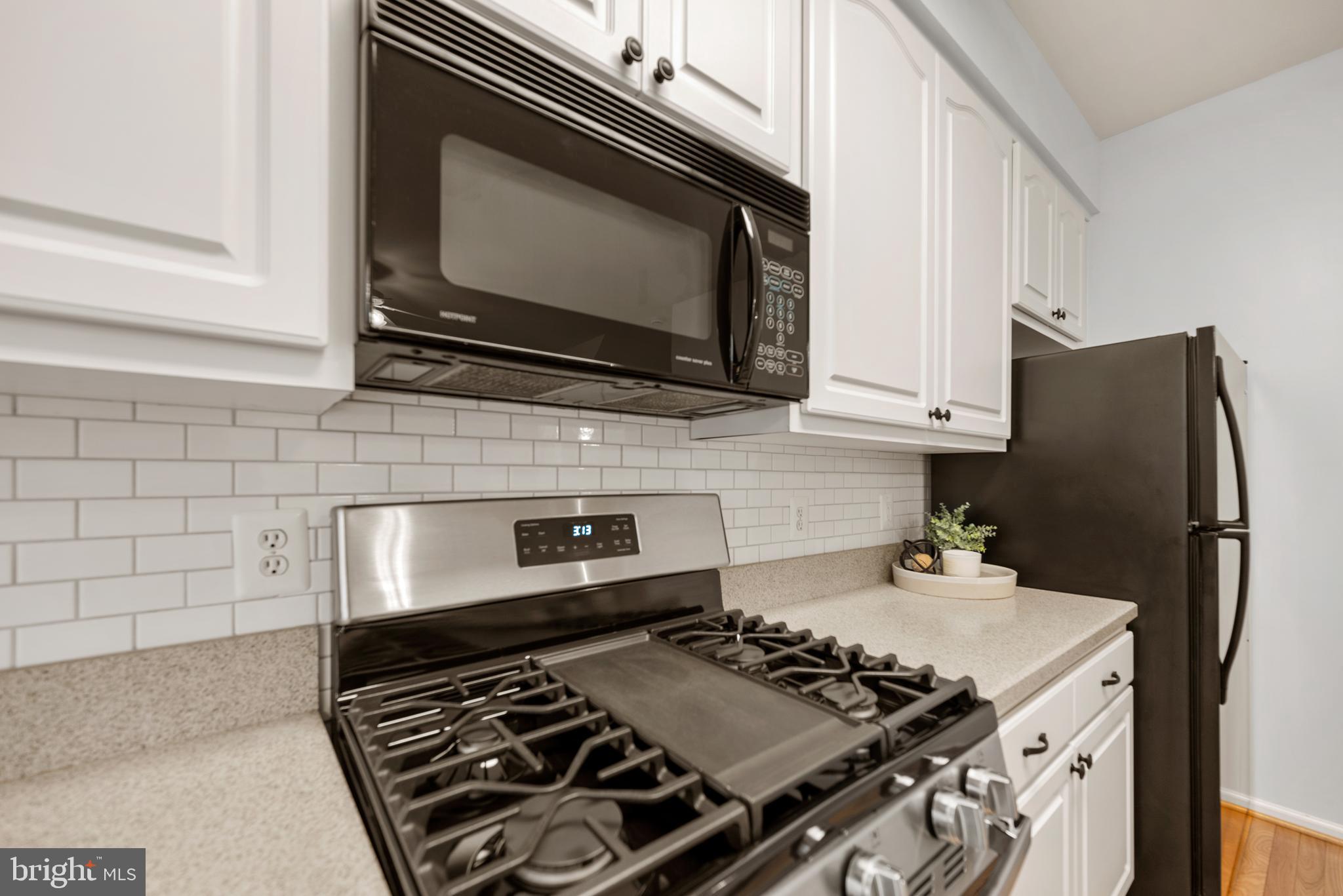 13393 DOGUES TERRACE