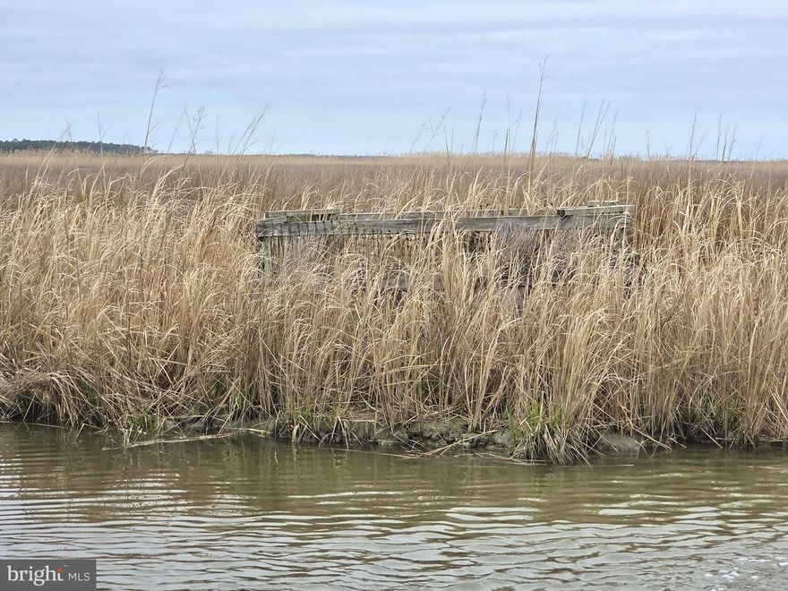 If you are looking for acreage to hunt Sika Deer and Waterfowl, here it is! Prime location, boat access only. Navigable water. Loaded with ducks and sika deer, very private. Deed references 104.35 acres, buyer due diligence. Owner financing available!

An additional parcel is being sold separately. Land _MLS# MDDO2009344 (50.75+/- Acres) - water access only