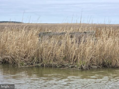 Waterfowl & Sika / Ducks WESLEY ROAD S/S DEEP BRANCH CRAPO MD 21626