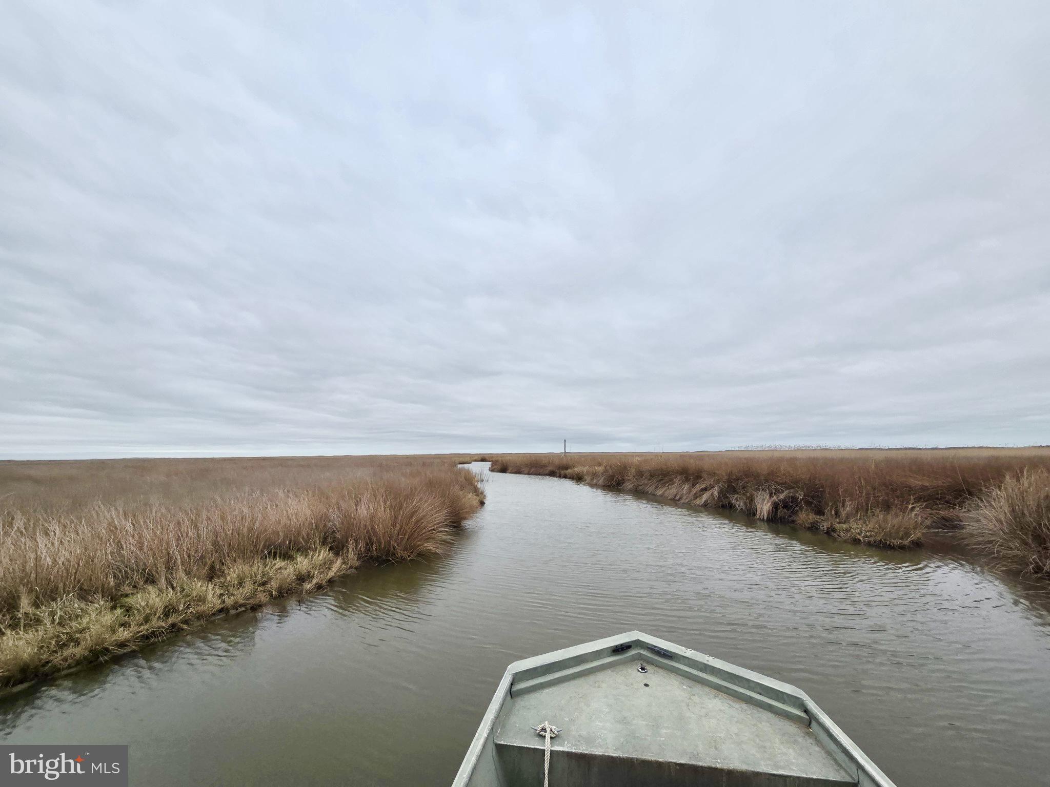 Waterfowl & Sika / Ducks WESLEY ROAD S/S DEEP BRANCH
