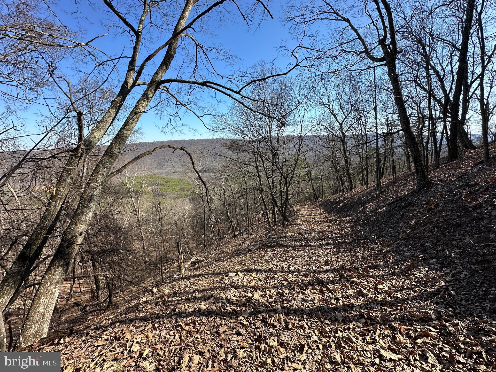 BLUFFS ON THE POTOMAC - Land