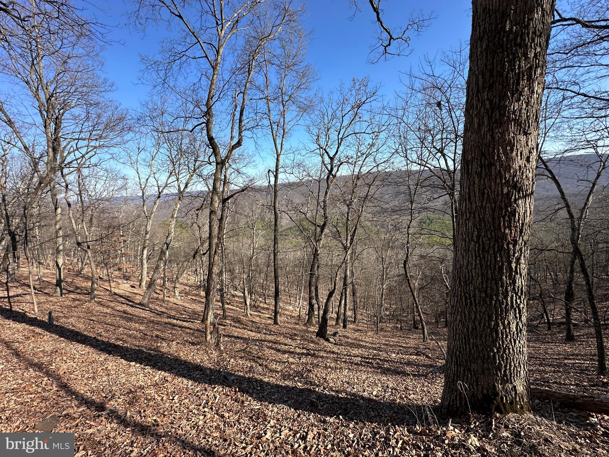 BLUFFS ON THE POTOMAC - Land