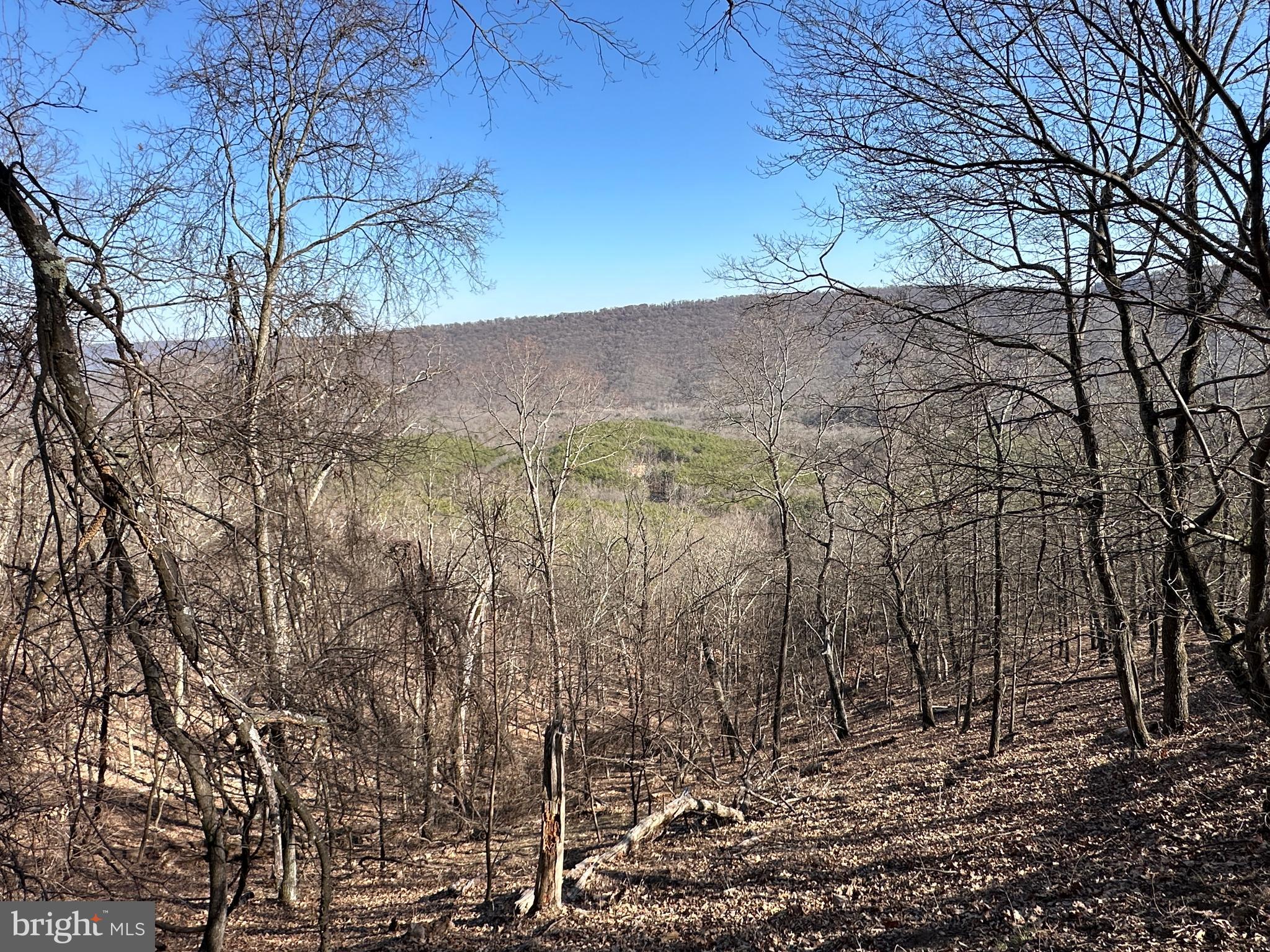 BLUFFS ON THE POTOMAC - Land