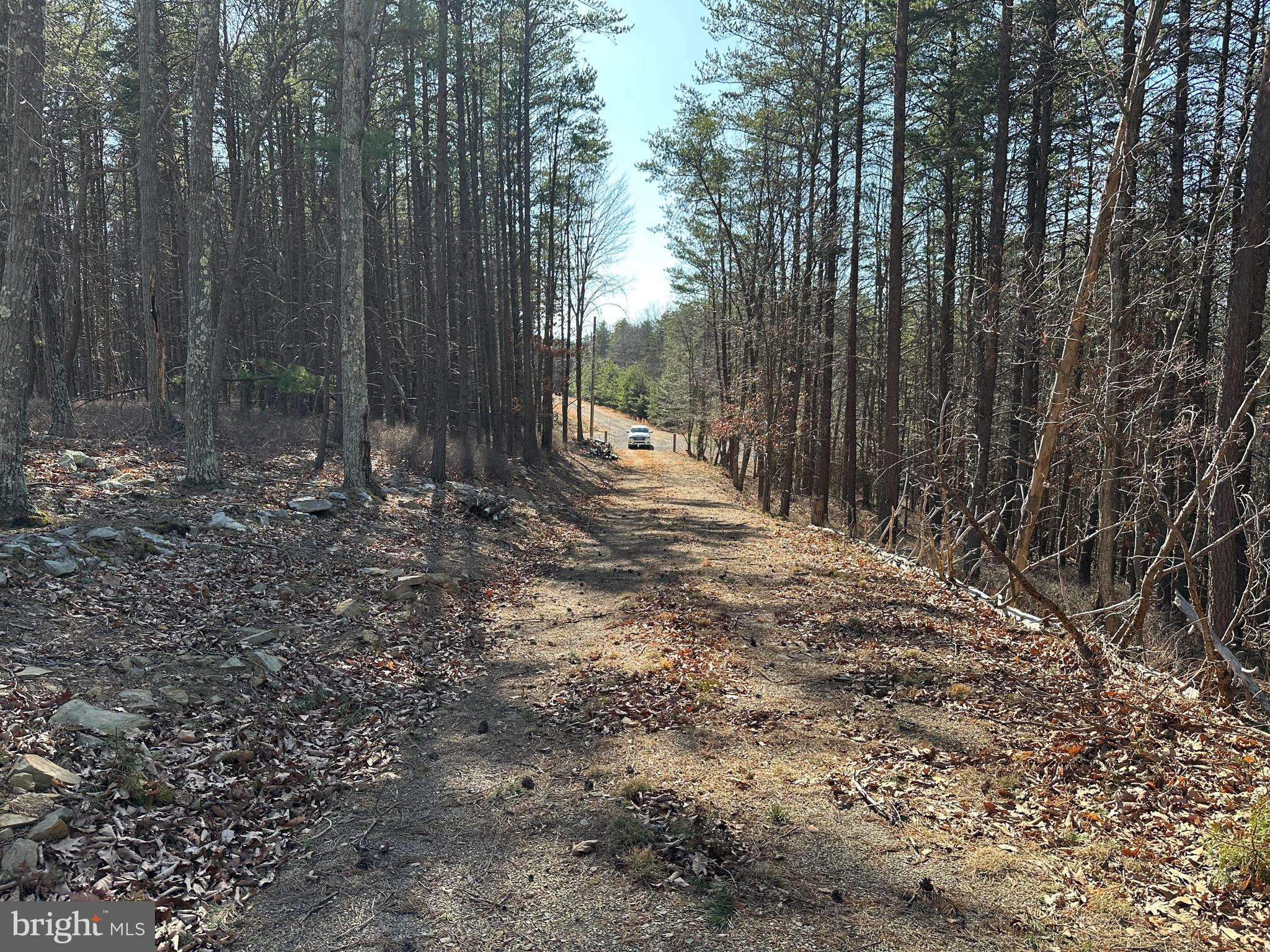 BLUFFS ON THE POTOMAC - Land