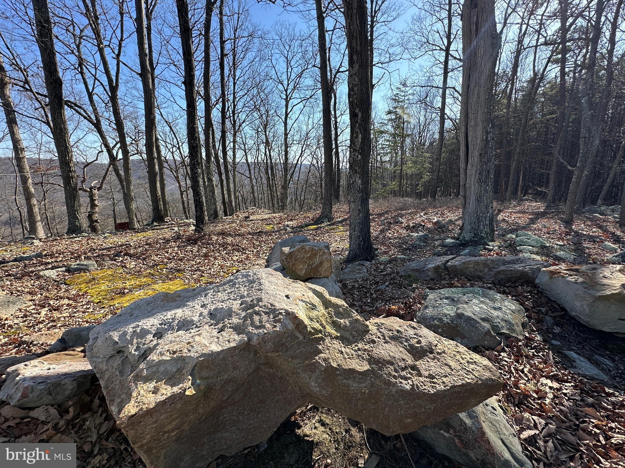BLUFFS ON THE POTOMAC - Land