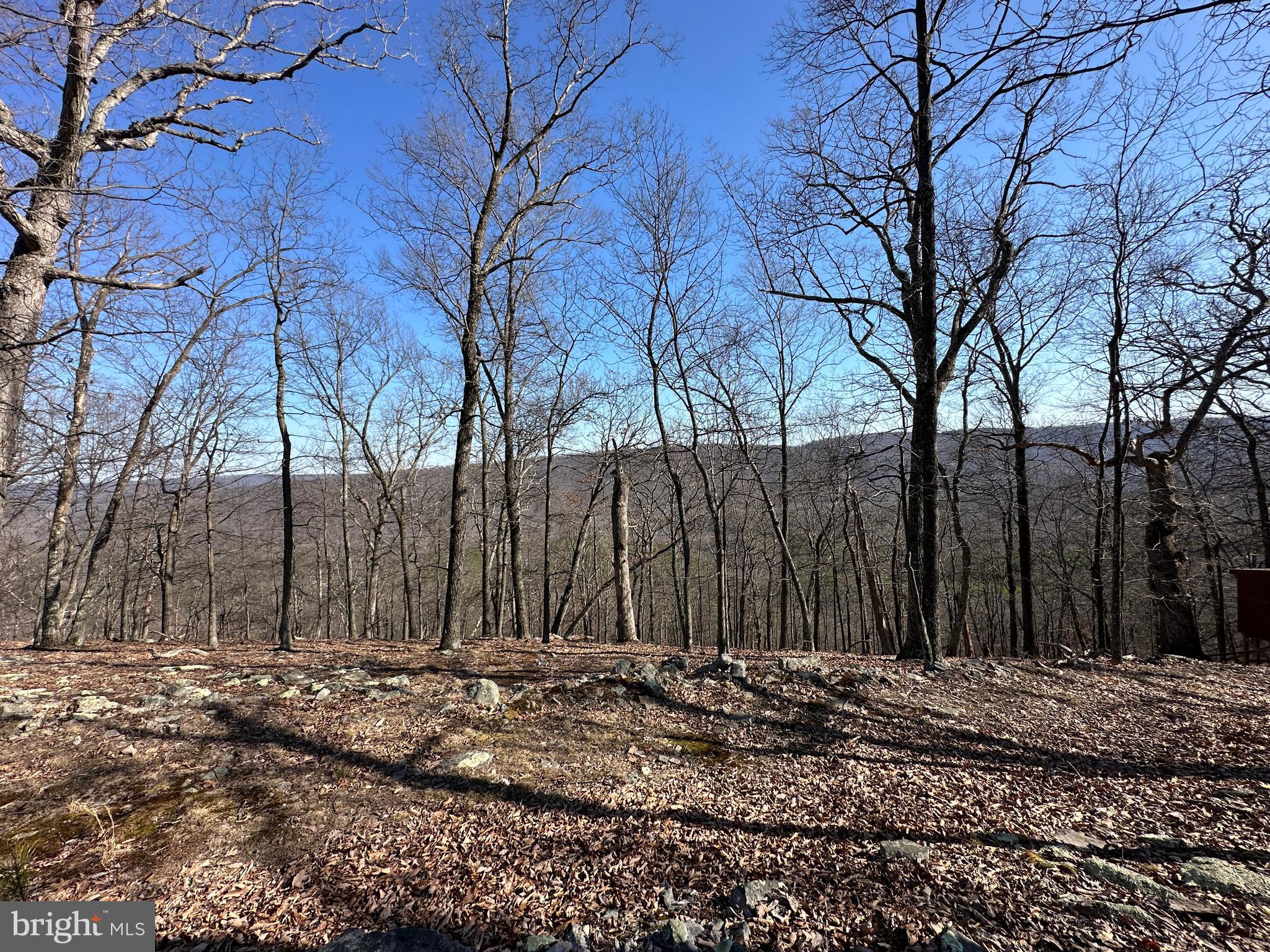 BLUFFS ON THE POTOMAC - Land