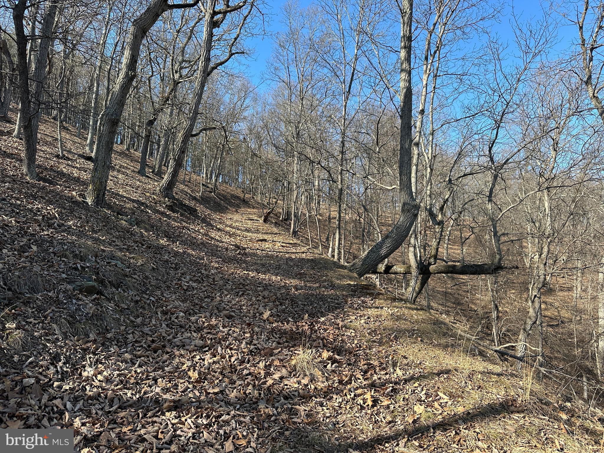 BLUFFS ON THE POTOMAC - Land