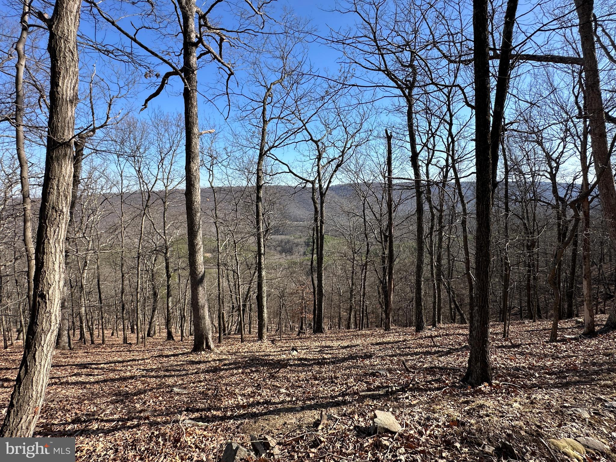 BLUFFS ON THE POTOMAC - Land