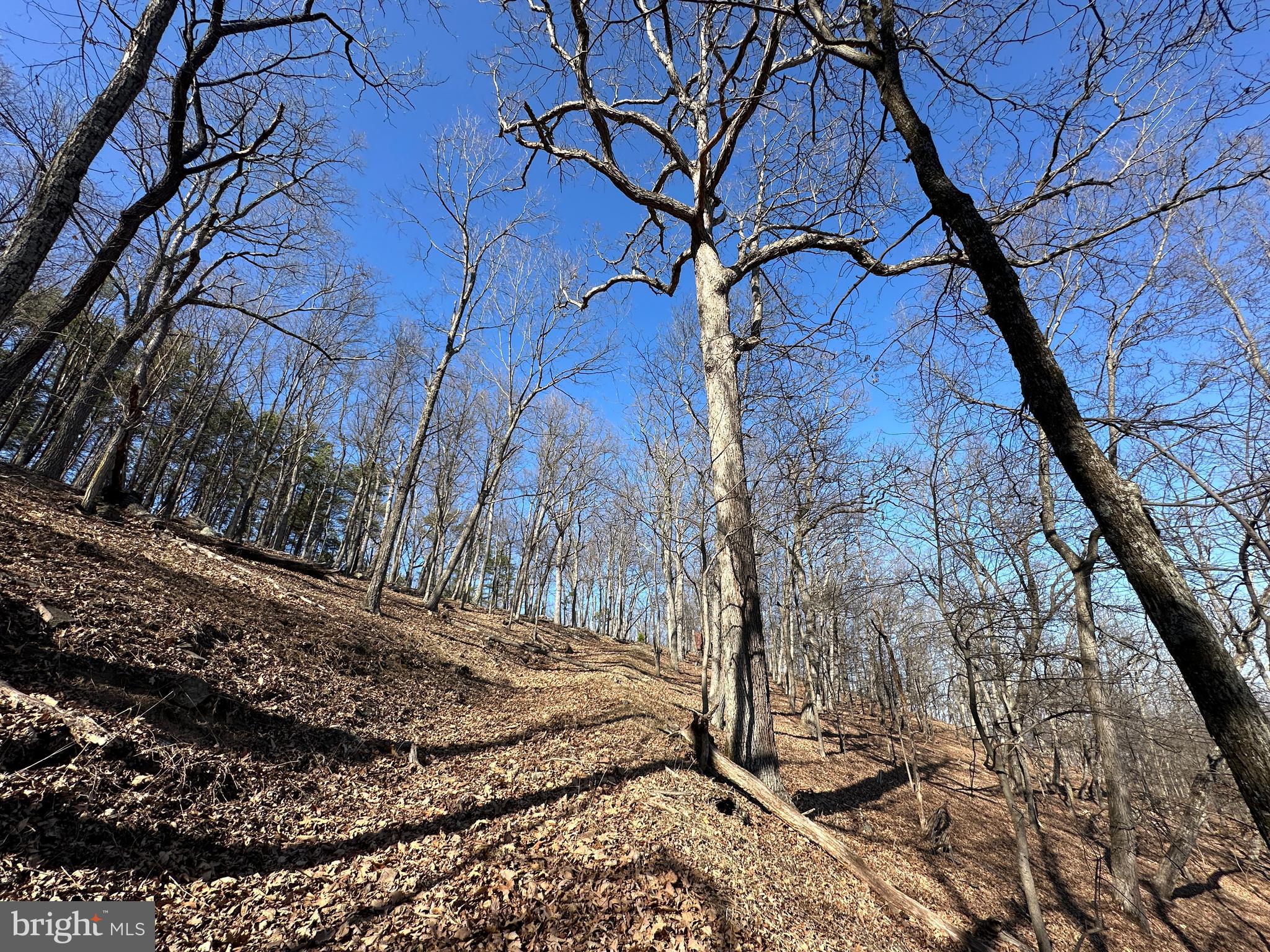 BLUFFS ON THE POTOMAC - Land