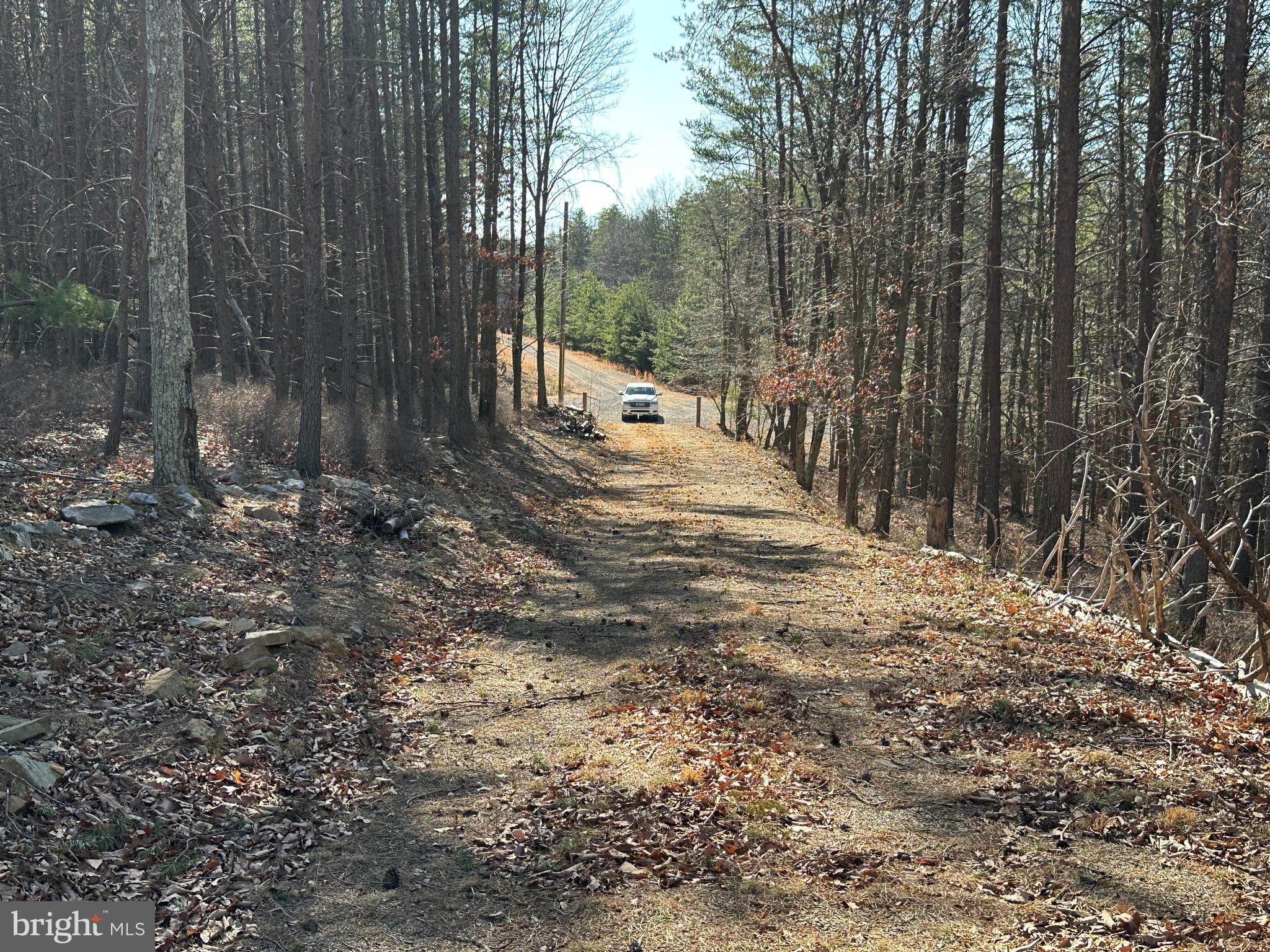 BLUFFS ON THE POTOMAC - Land
