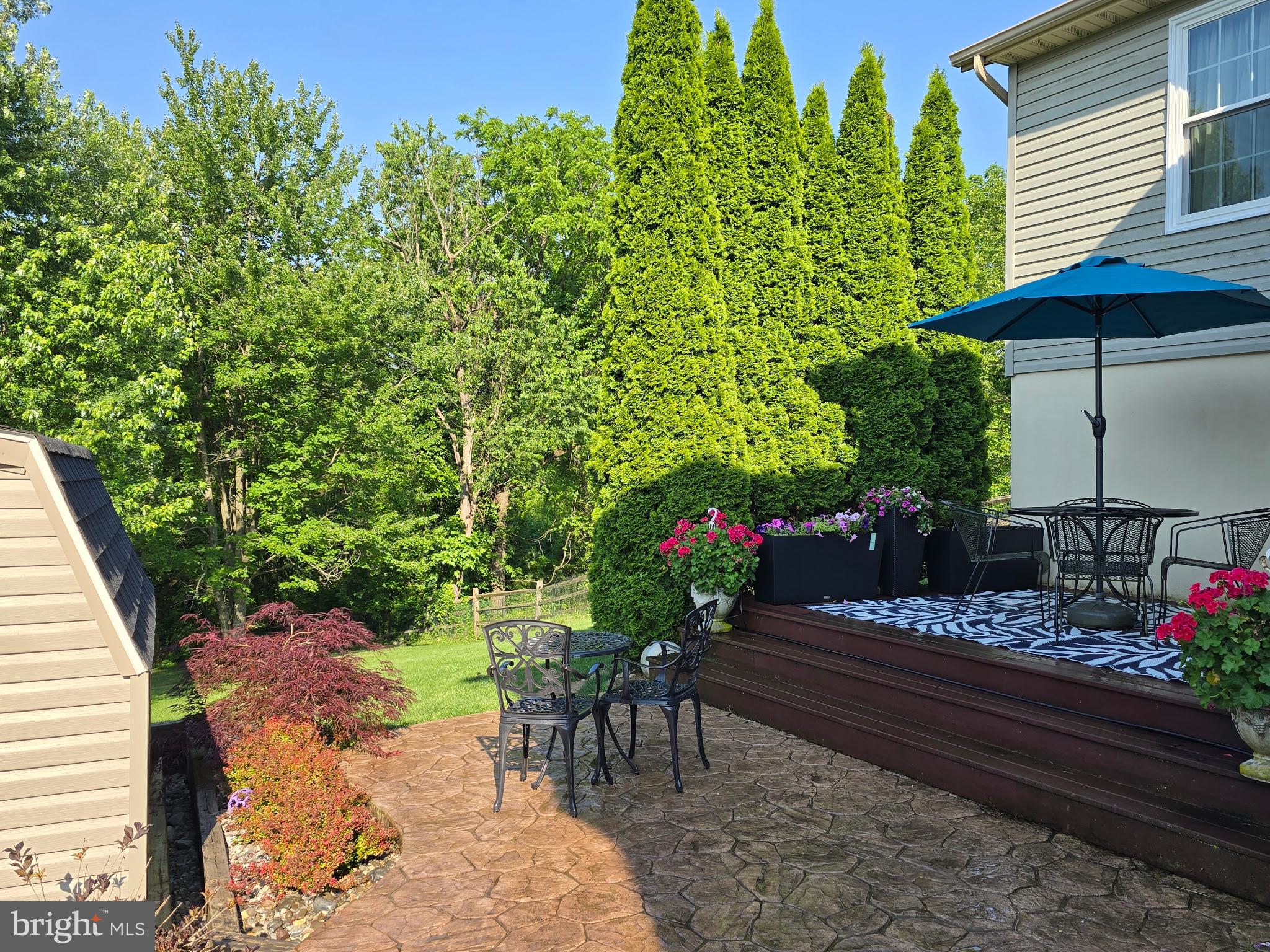 224 JASMINE DRIVE