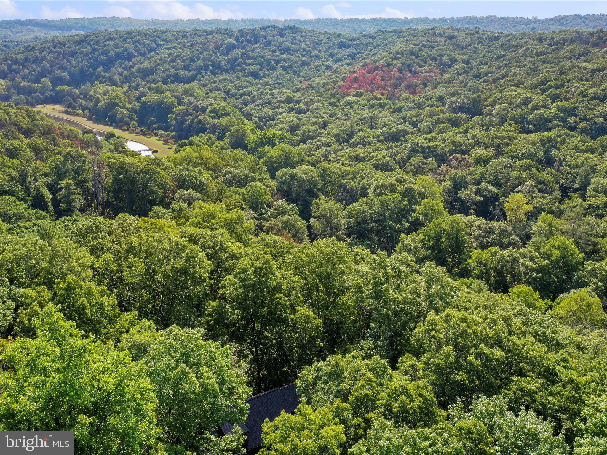 COLONIAL VILLAGE - Residential