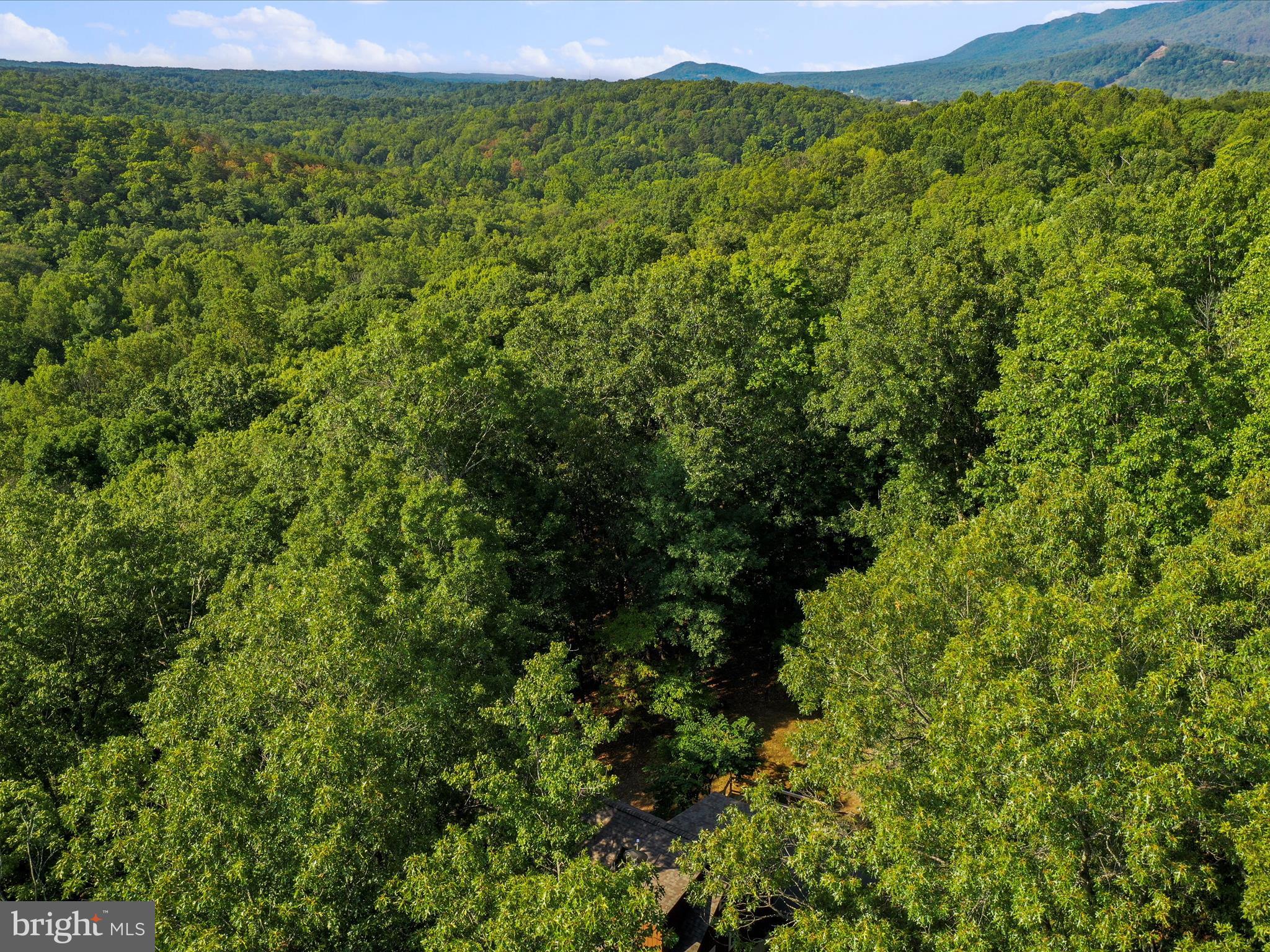 COLONIAL VILLAGE - Residential