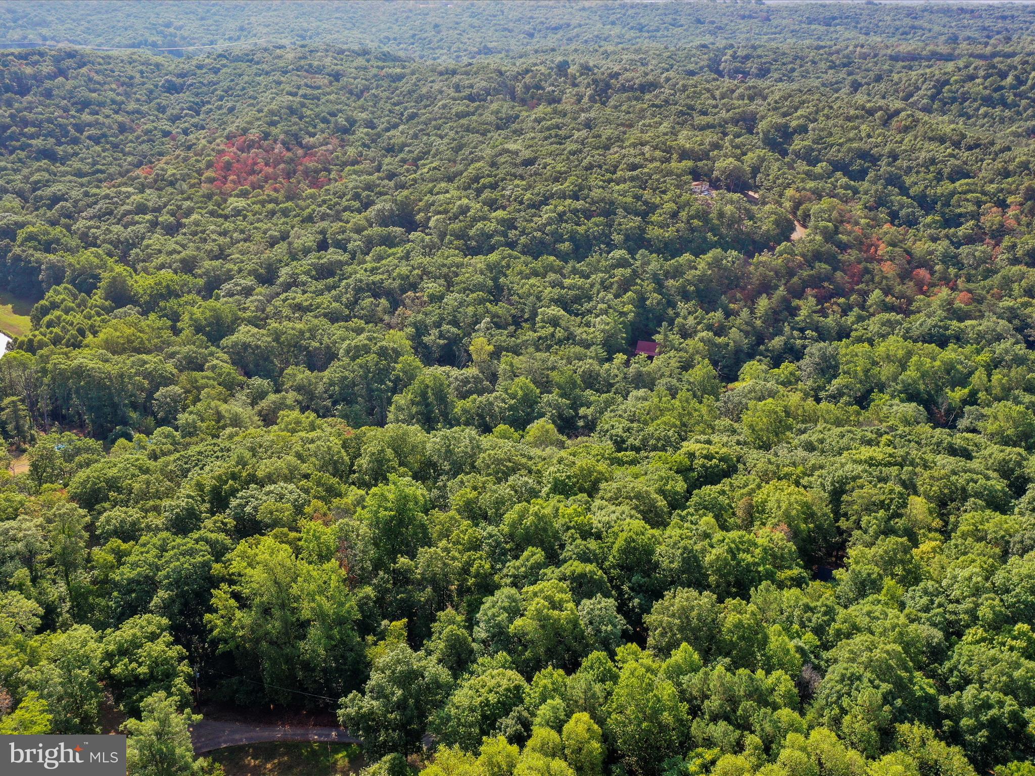 COLONIAL VILLAGE - Residential