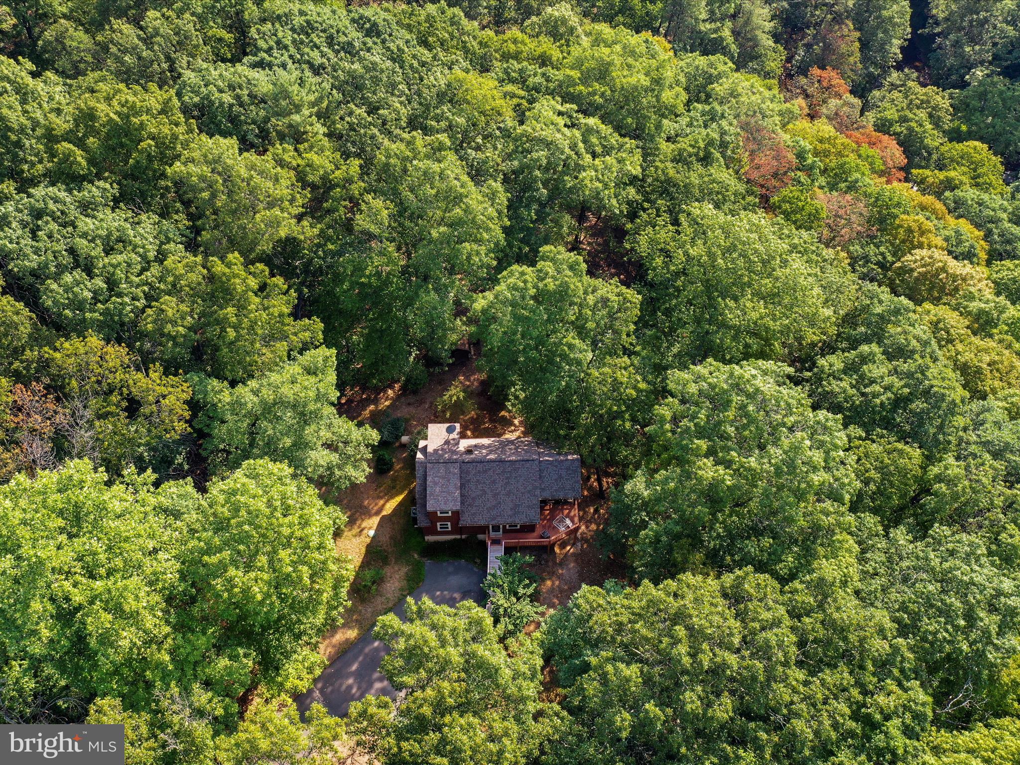 COLONIAL VILLAGE - Residential