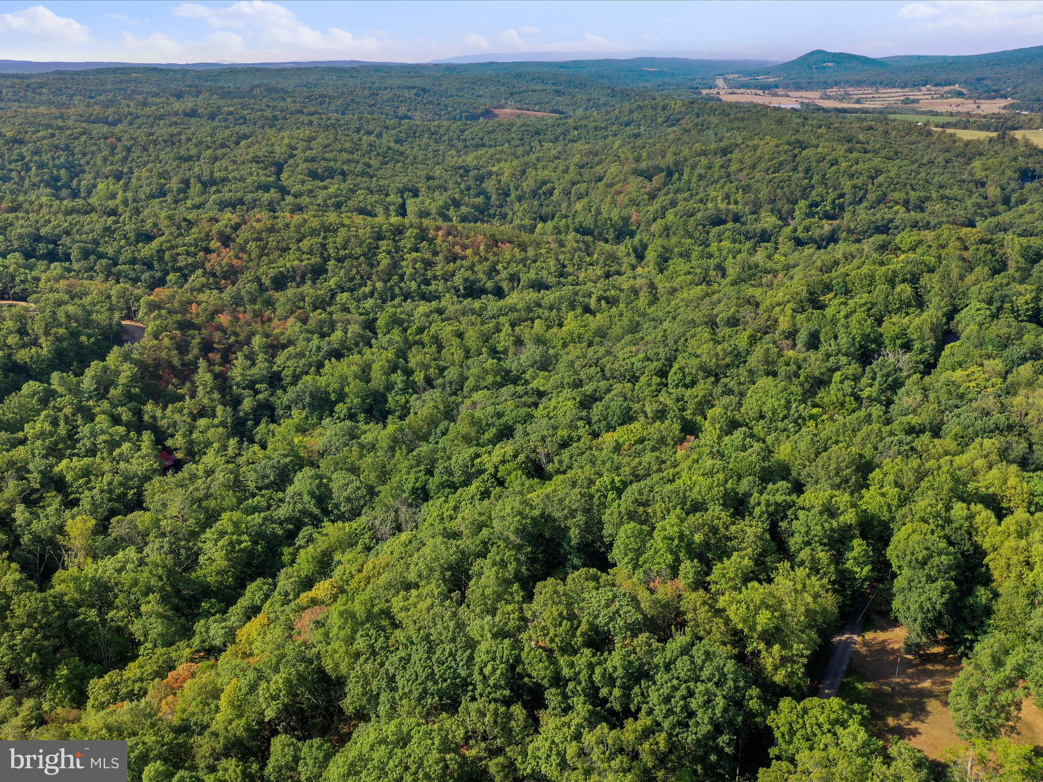 COLONIAL VILLAGE - Residential