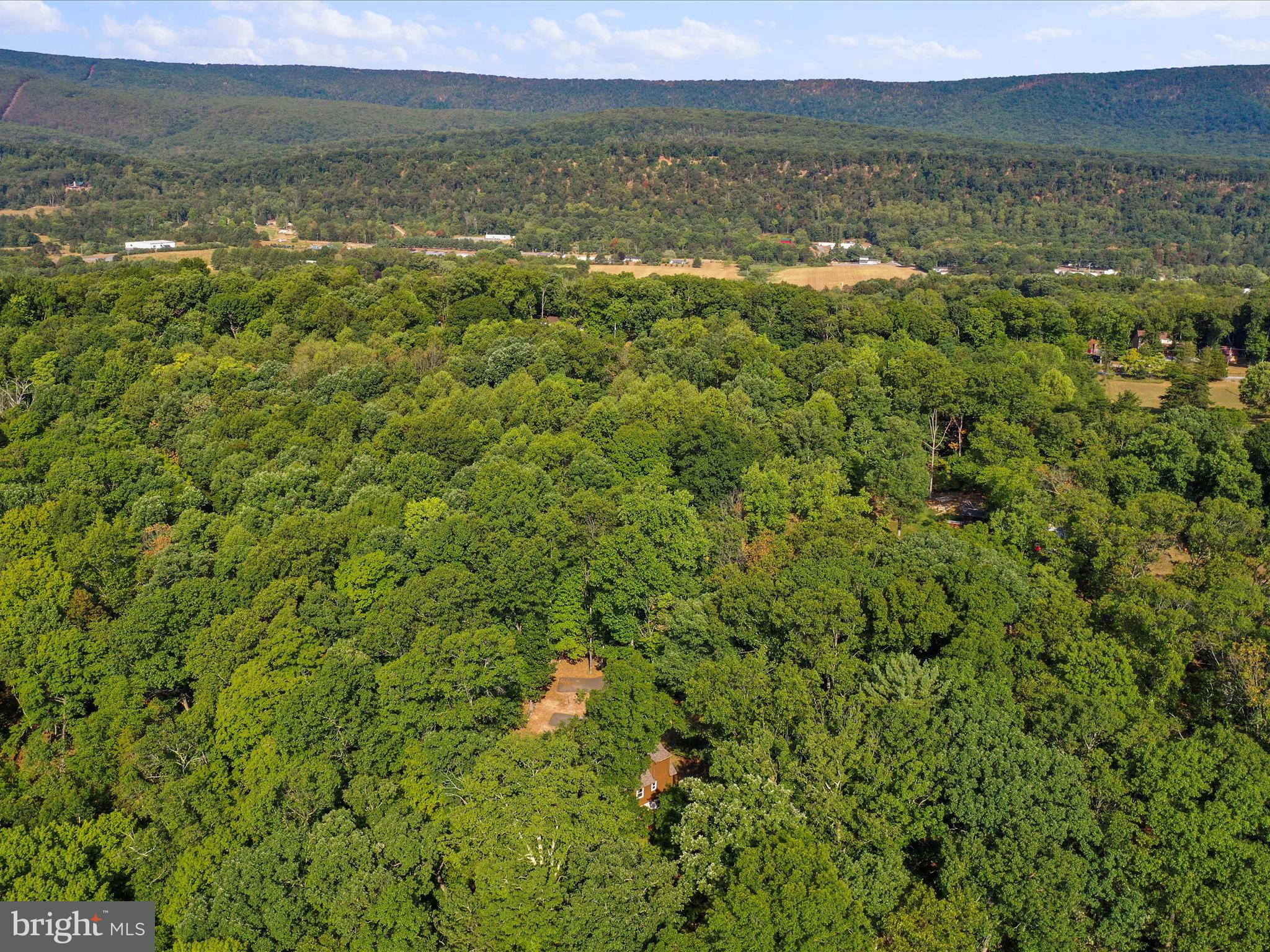 COLONIAL VILLAGE - Residential