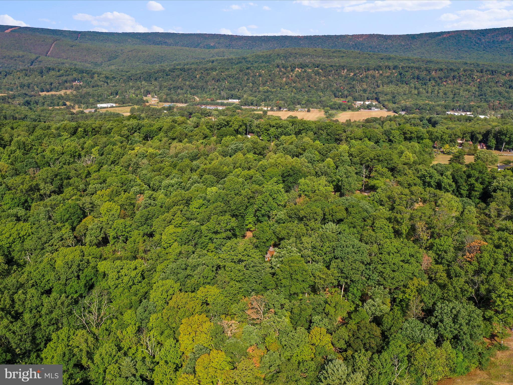 COLONIAL VILLAGE - Residential