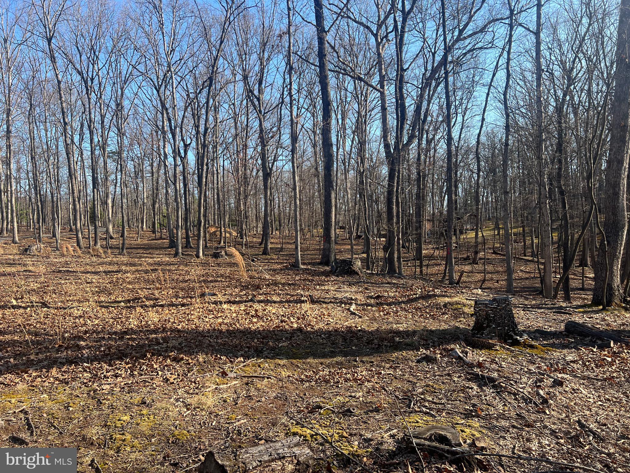 RIVER RIDGE SUBDIVISION - Land