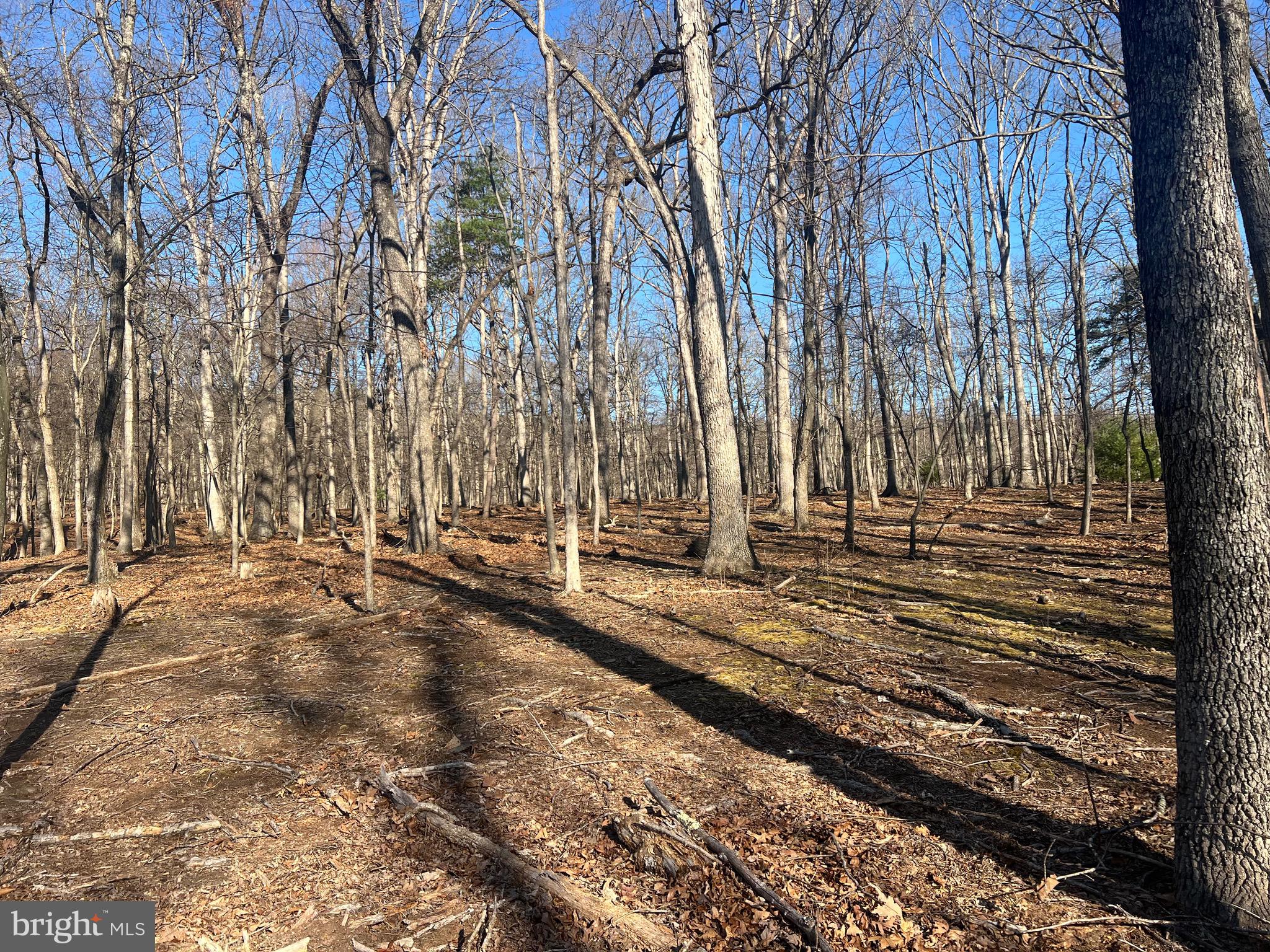 RIVER RIDGE SUBDIVISION - Land