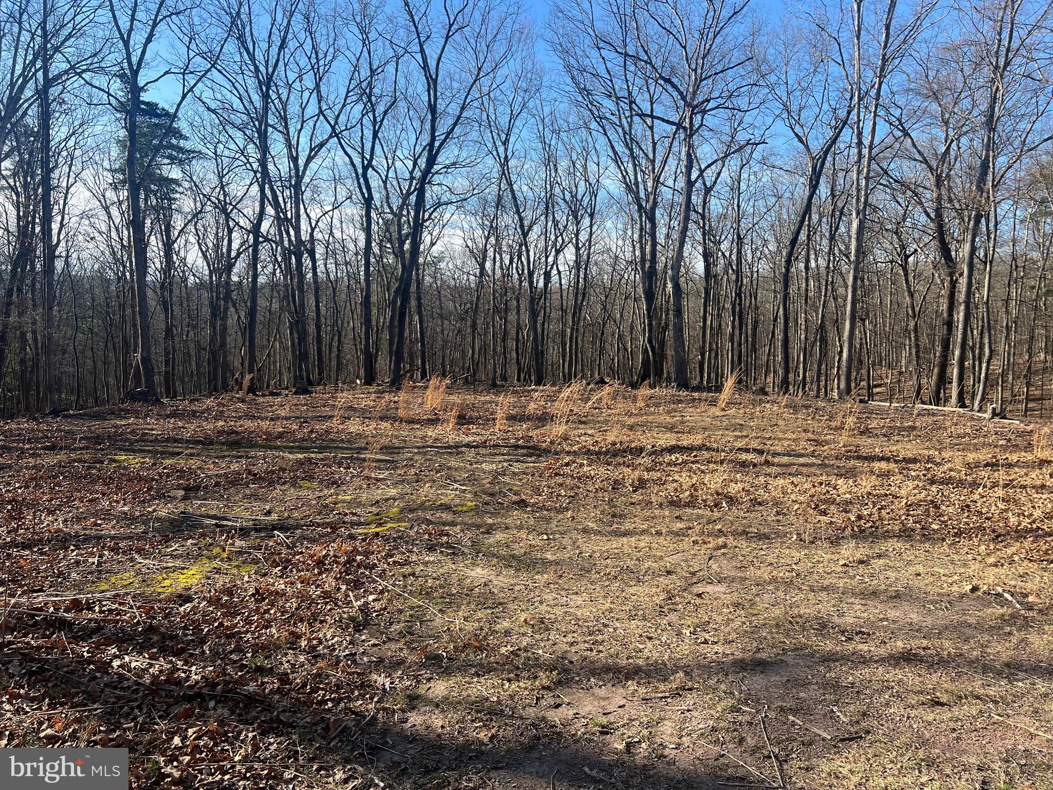 1417 SIDELING MOUNTAIN TRAIL