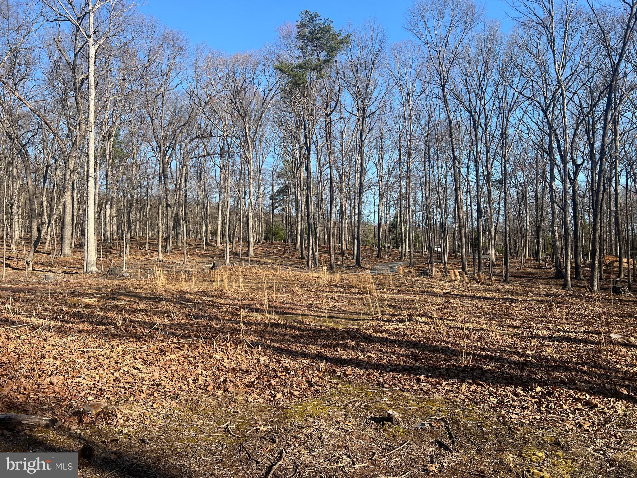 1417 SIDELING MOUNTAIN TRAIL