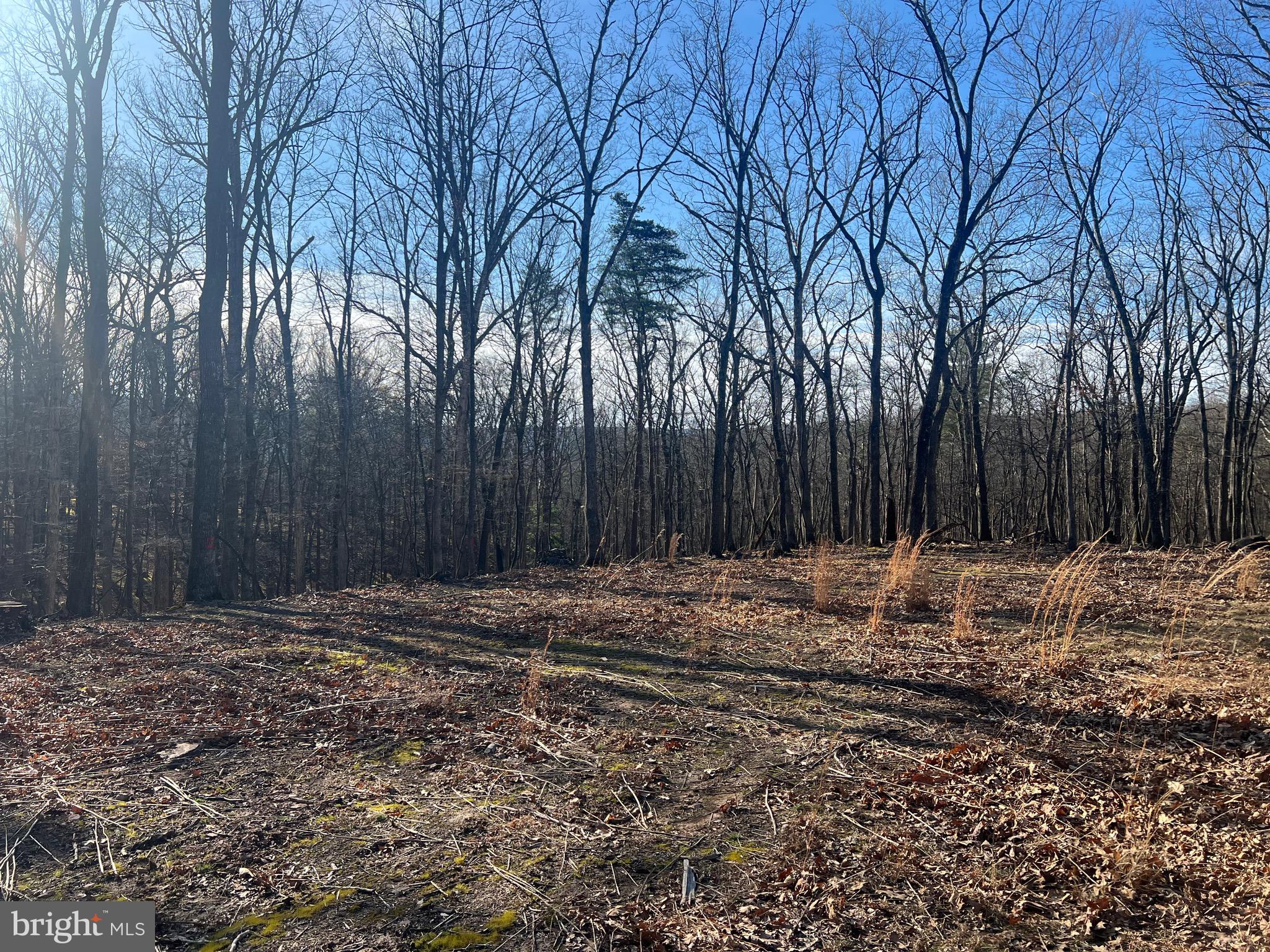 RIVER RIDGE SUBDIVISION - Land