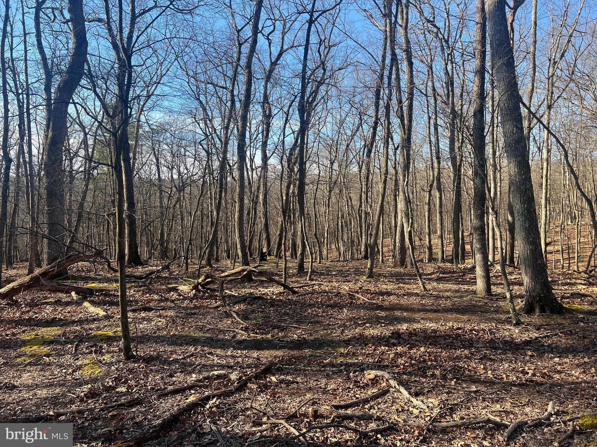 RIVER RIDGE SUBDIVISION - Land