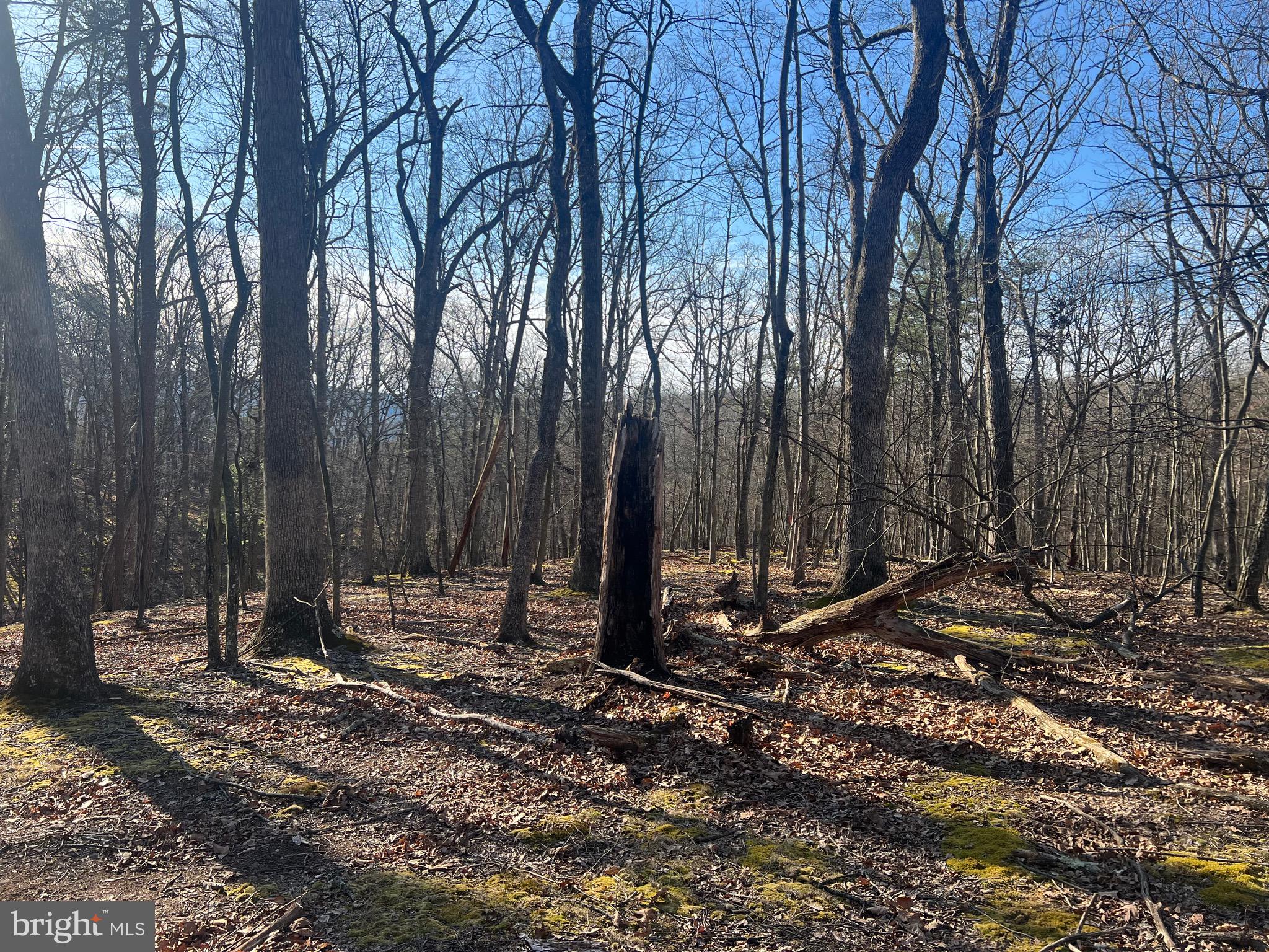 RIVER RIDGE SUBDIVISION - Land