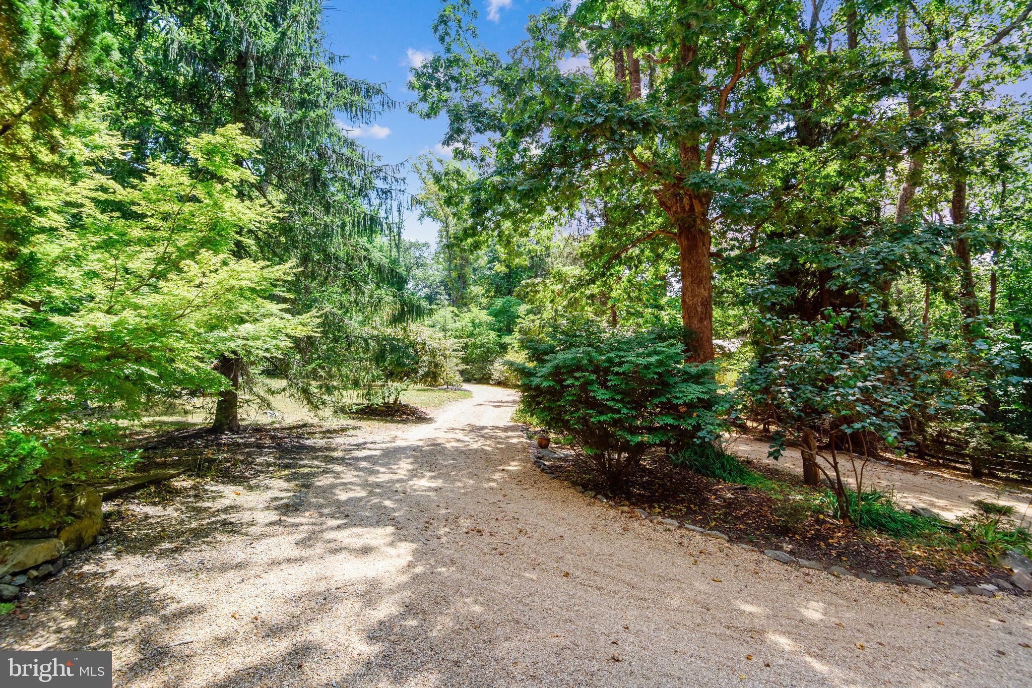 BLUEMONT - Residential