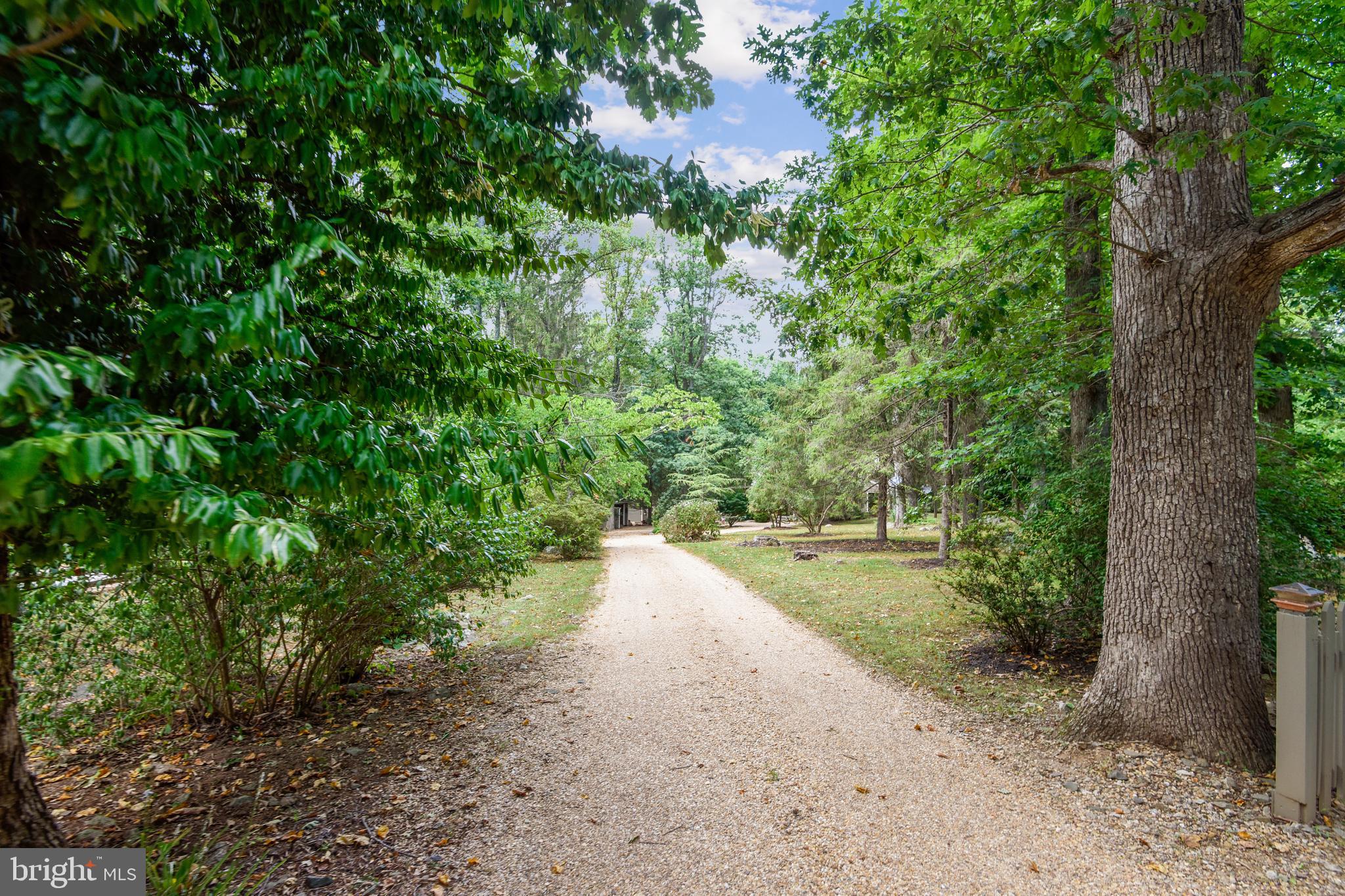 BLUEMONT - Residential