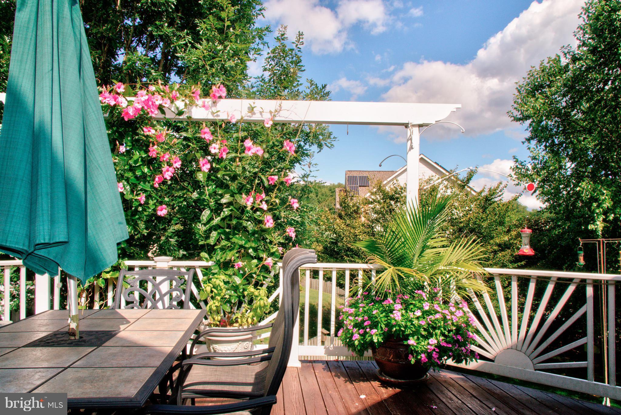 GROVEMONT - Residential