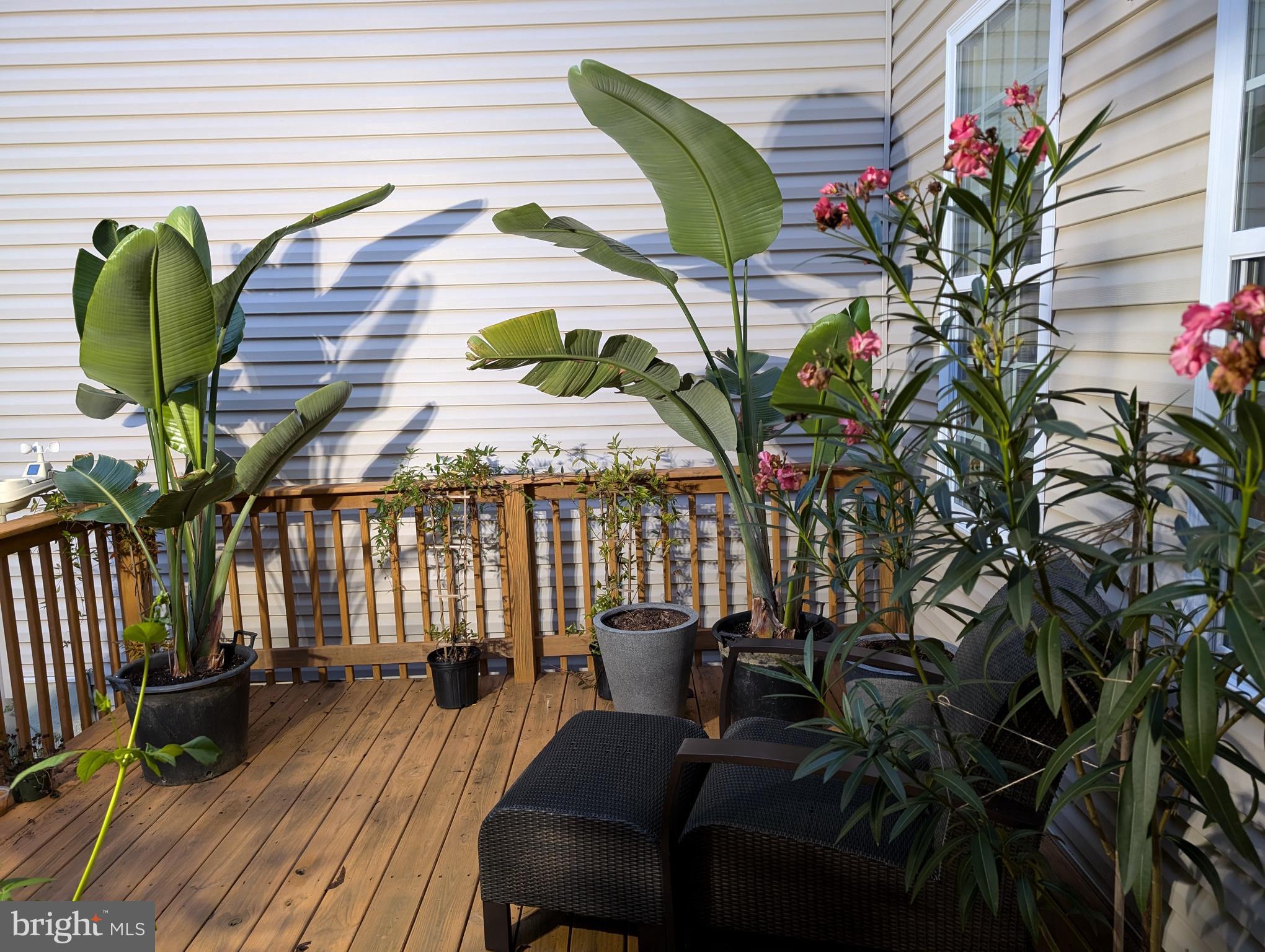 WESTHAMPTON - Residential