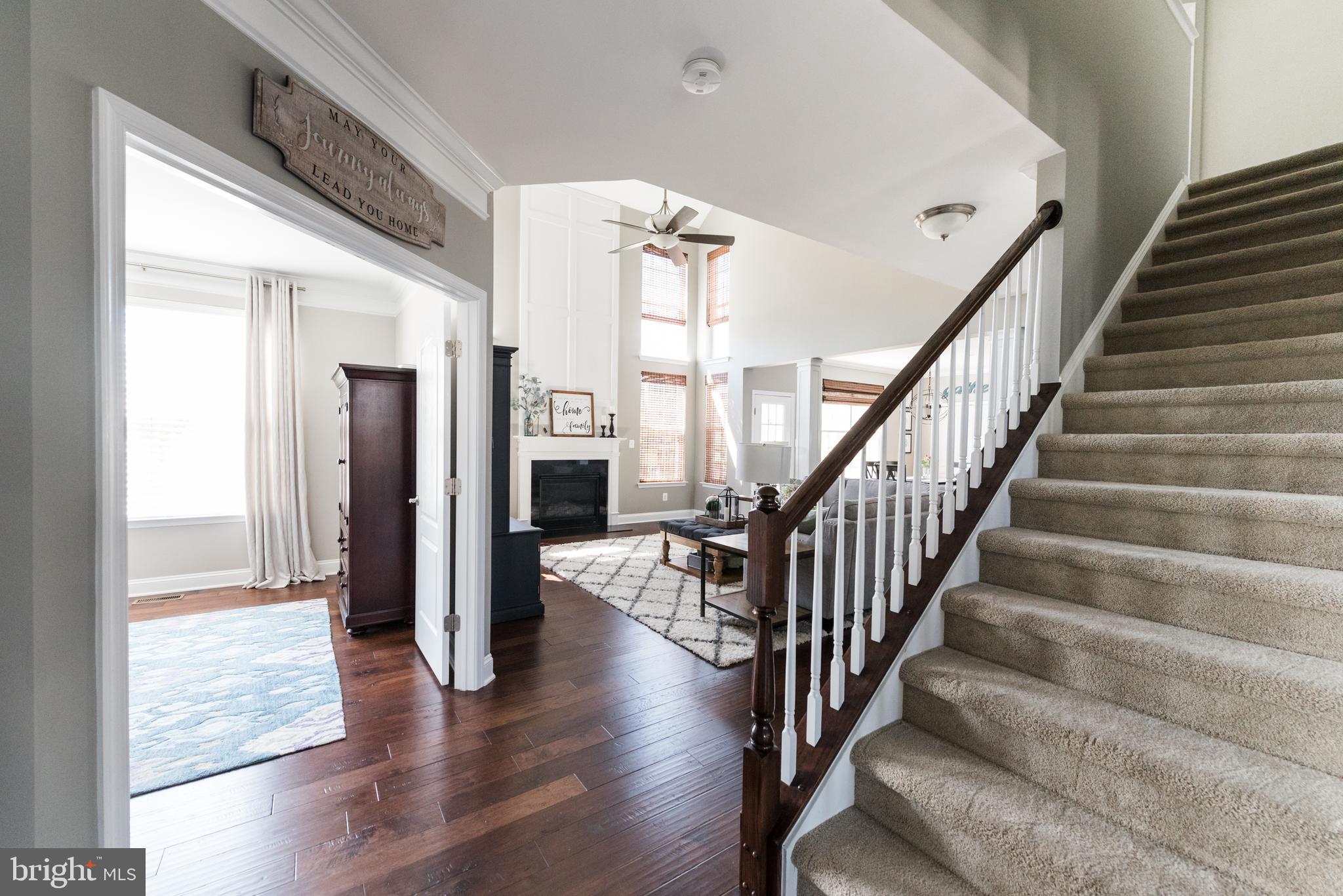 ELYSIAN HEIGHTS - Residential