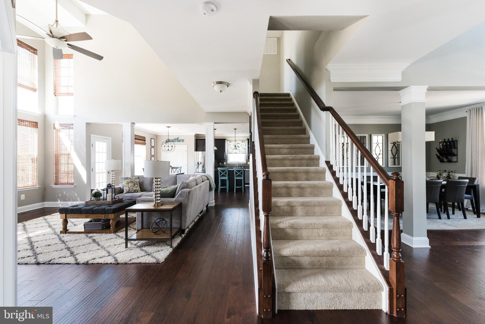 ELYSIAN HEIGHTS - Residential