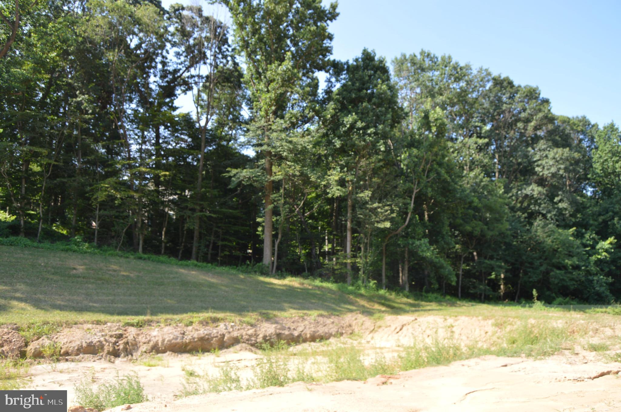 COPPERLEAF RIDGE - Residential