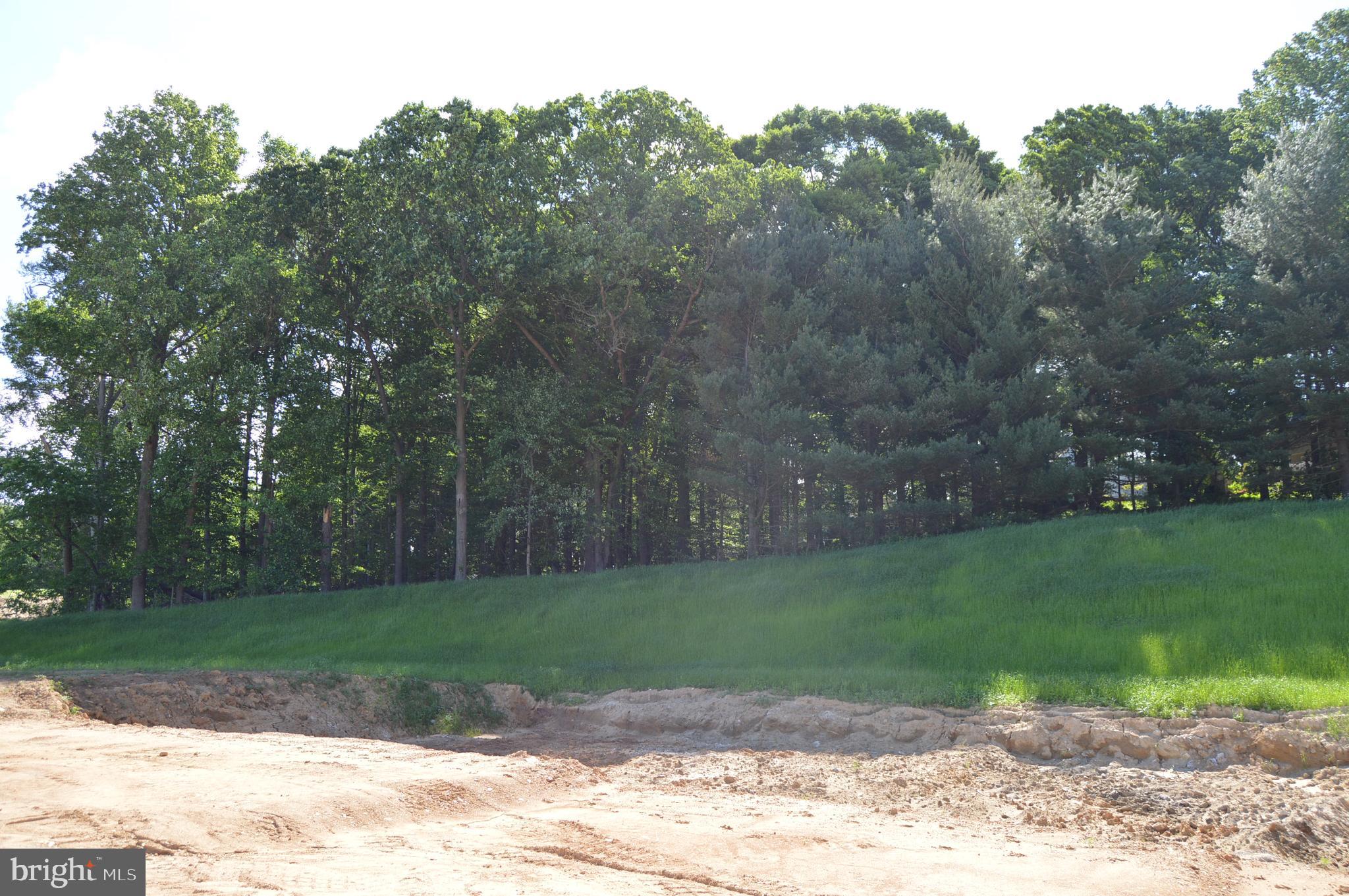 COPPERLEAF RIDGE - Residential