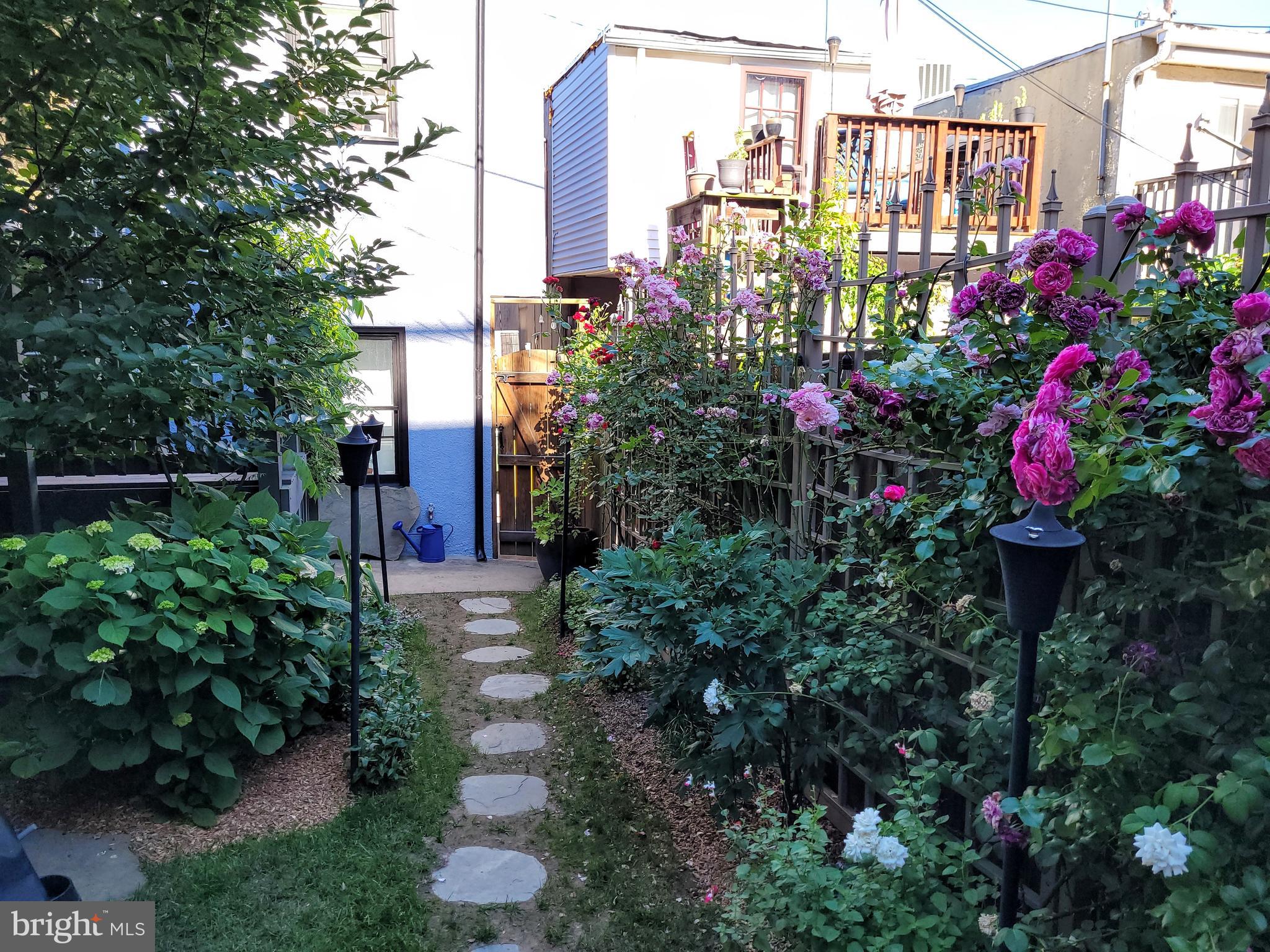 BUTCHERS HILL - Residential