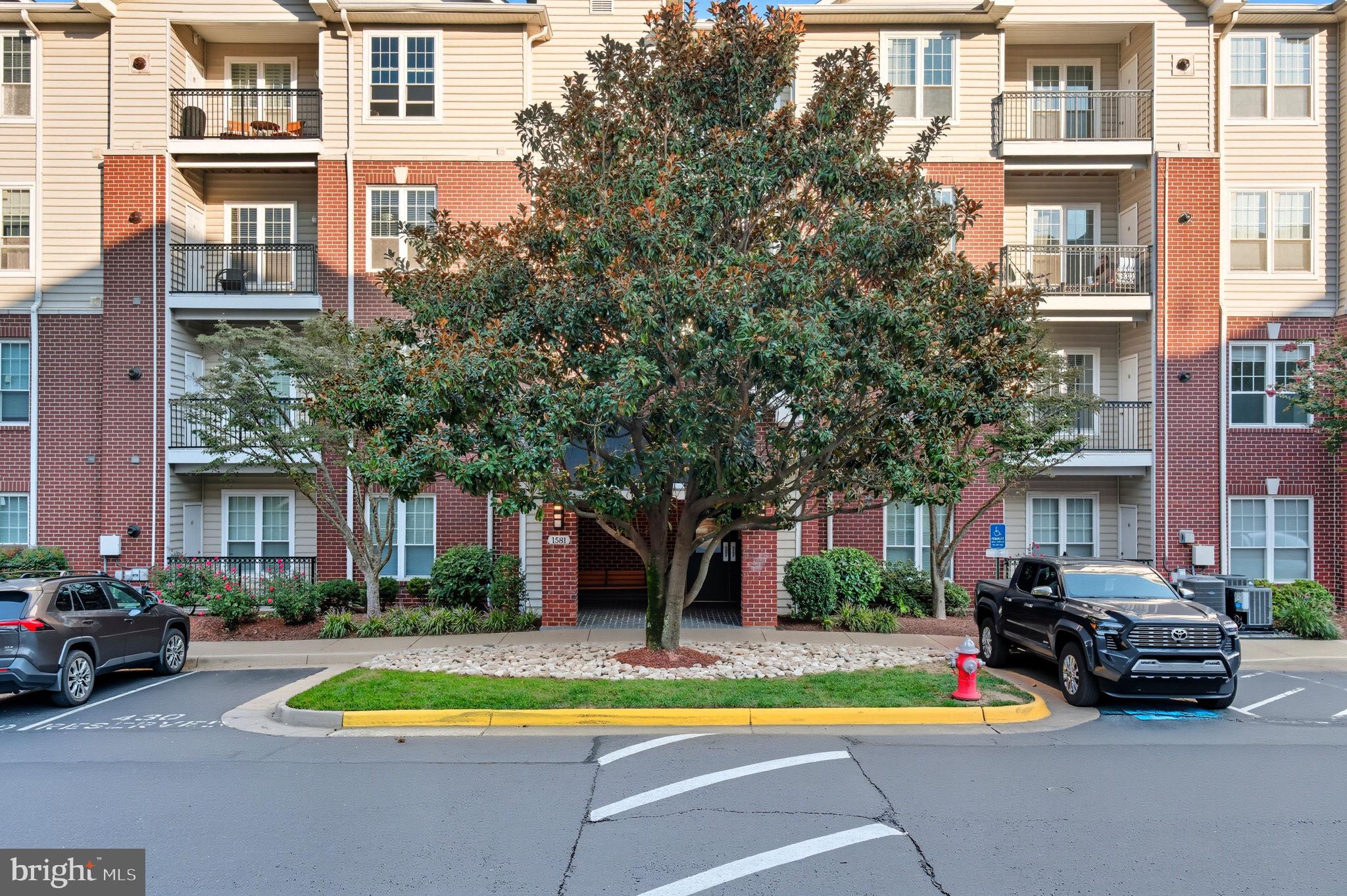1581 SPRING GATE DRIVE 5203