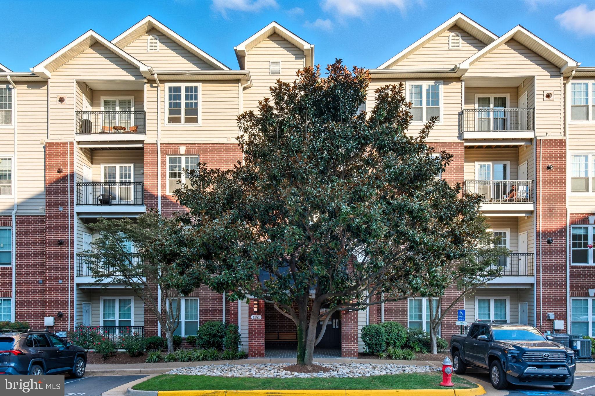 1581 SPRING GATE DRIVE 5203