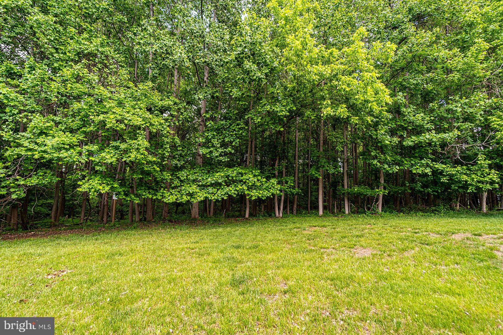 BALMORAL - Residential