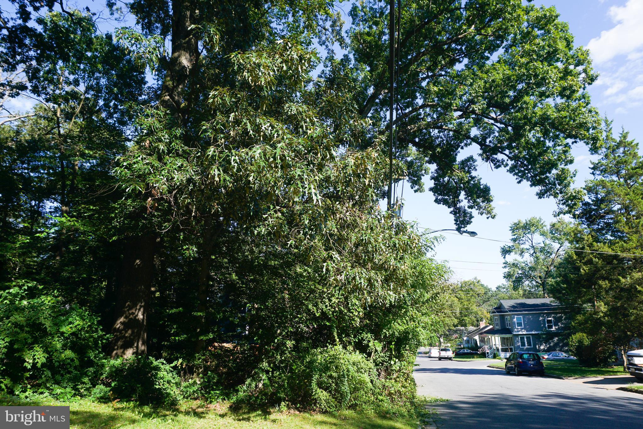 HOLLYWOOD ON THE HILL - Residential Lease