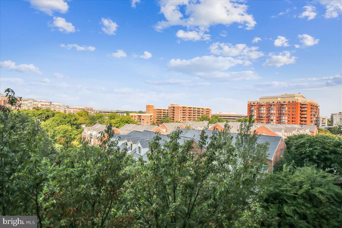 THE WILLIAMSBURG - Residential