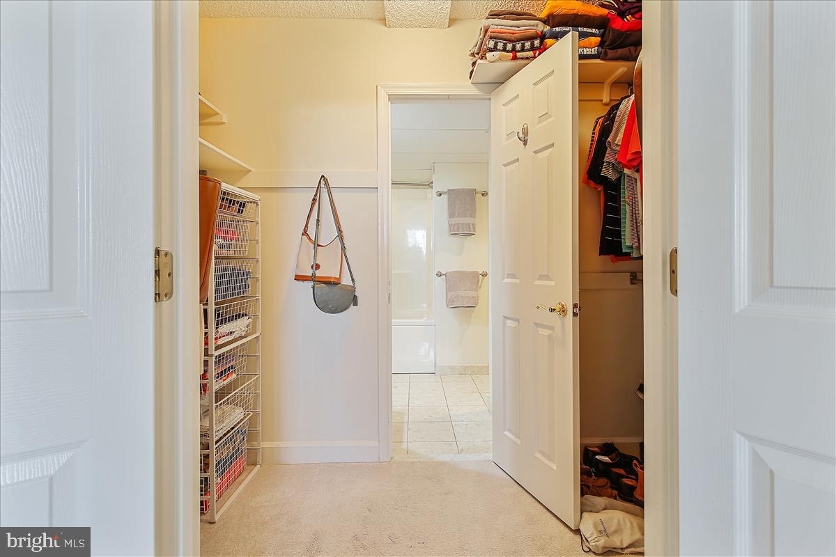 THE WILLIAMSBURG - Residential