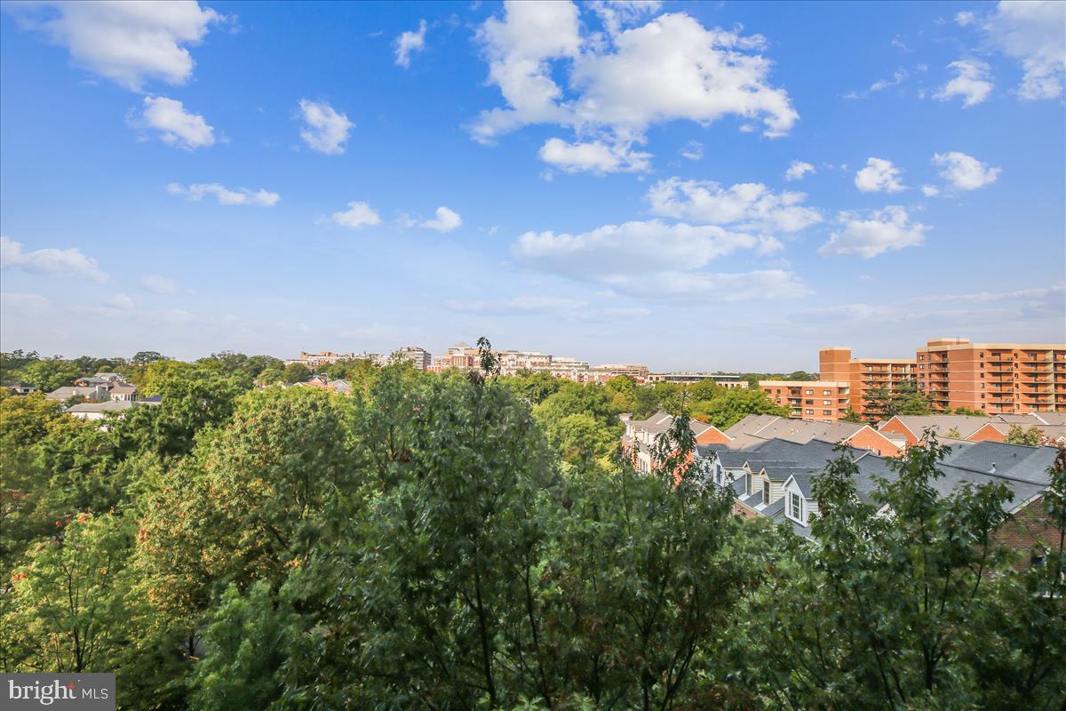 THE WILLIAMSBURG - Residential