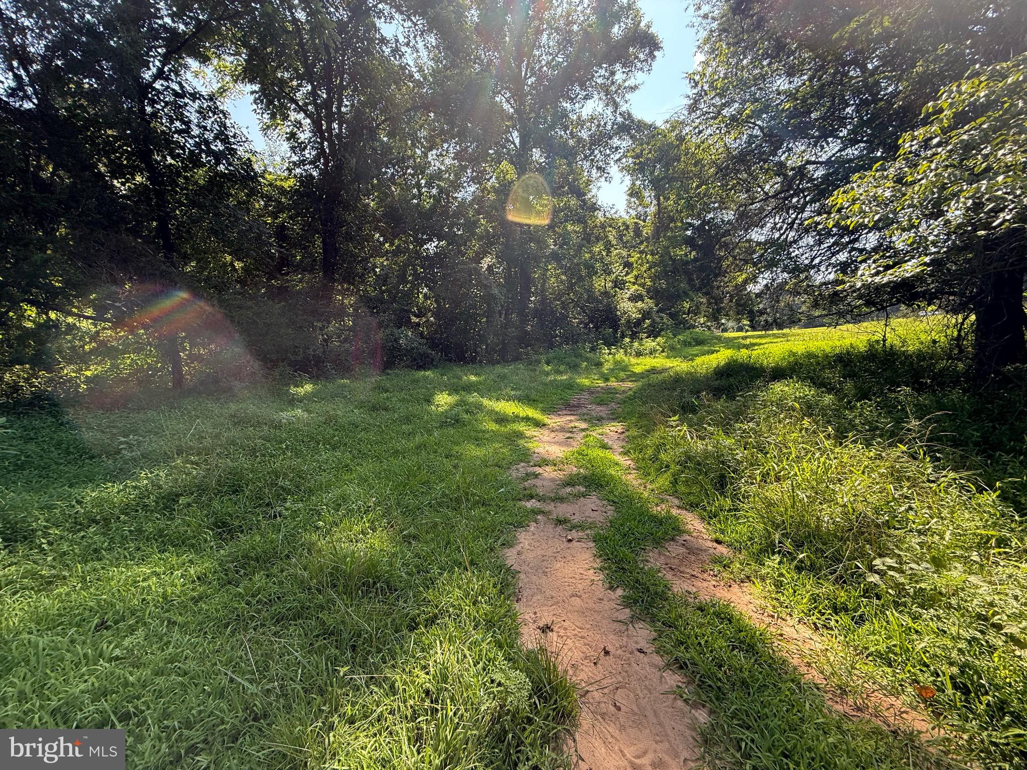 MALVERN OF MADISON - Land