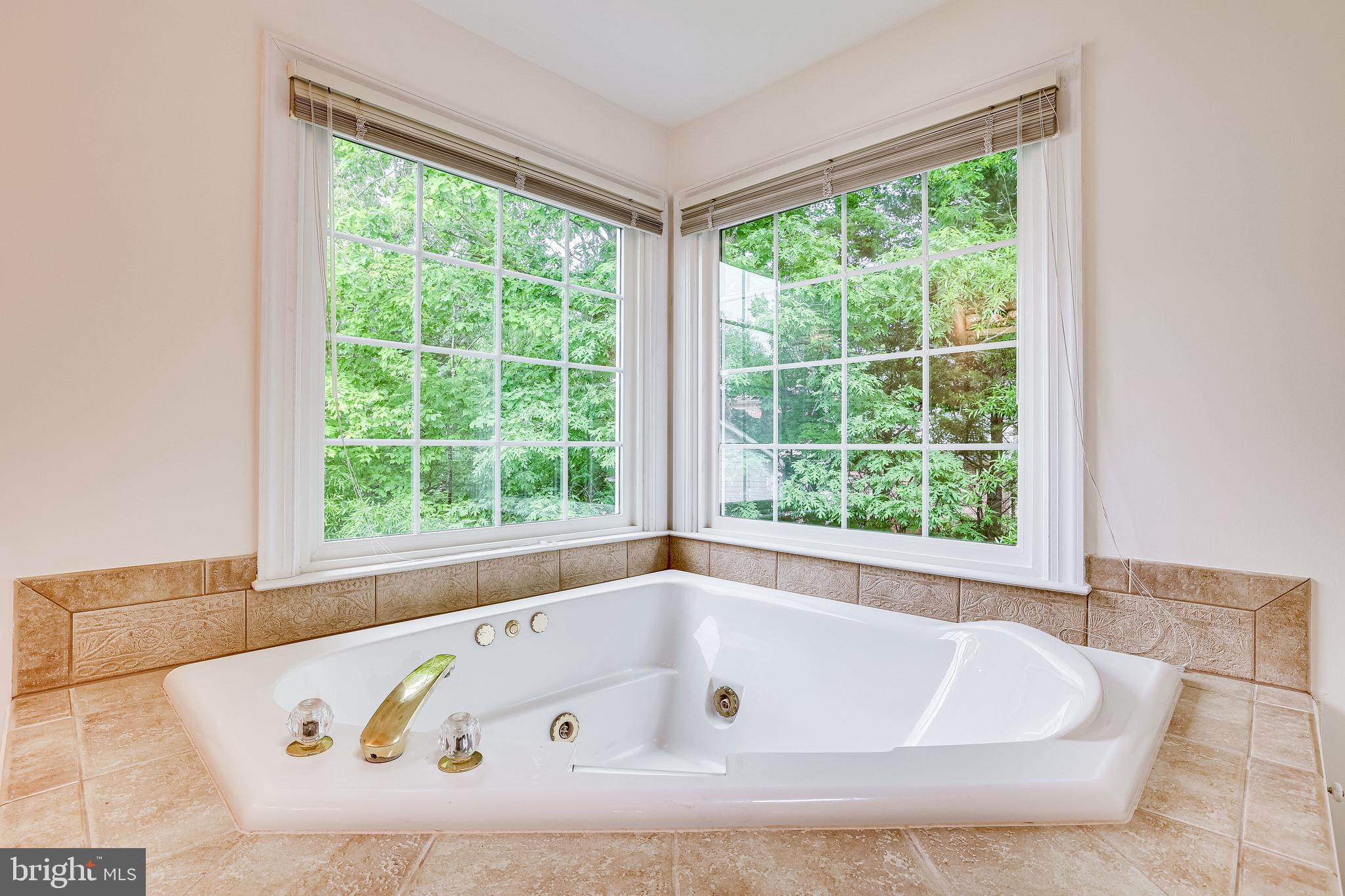 LAKE MANASSAS - Residential