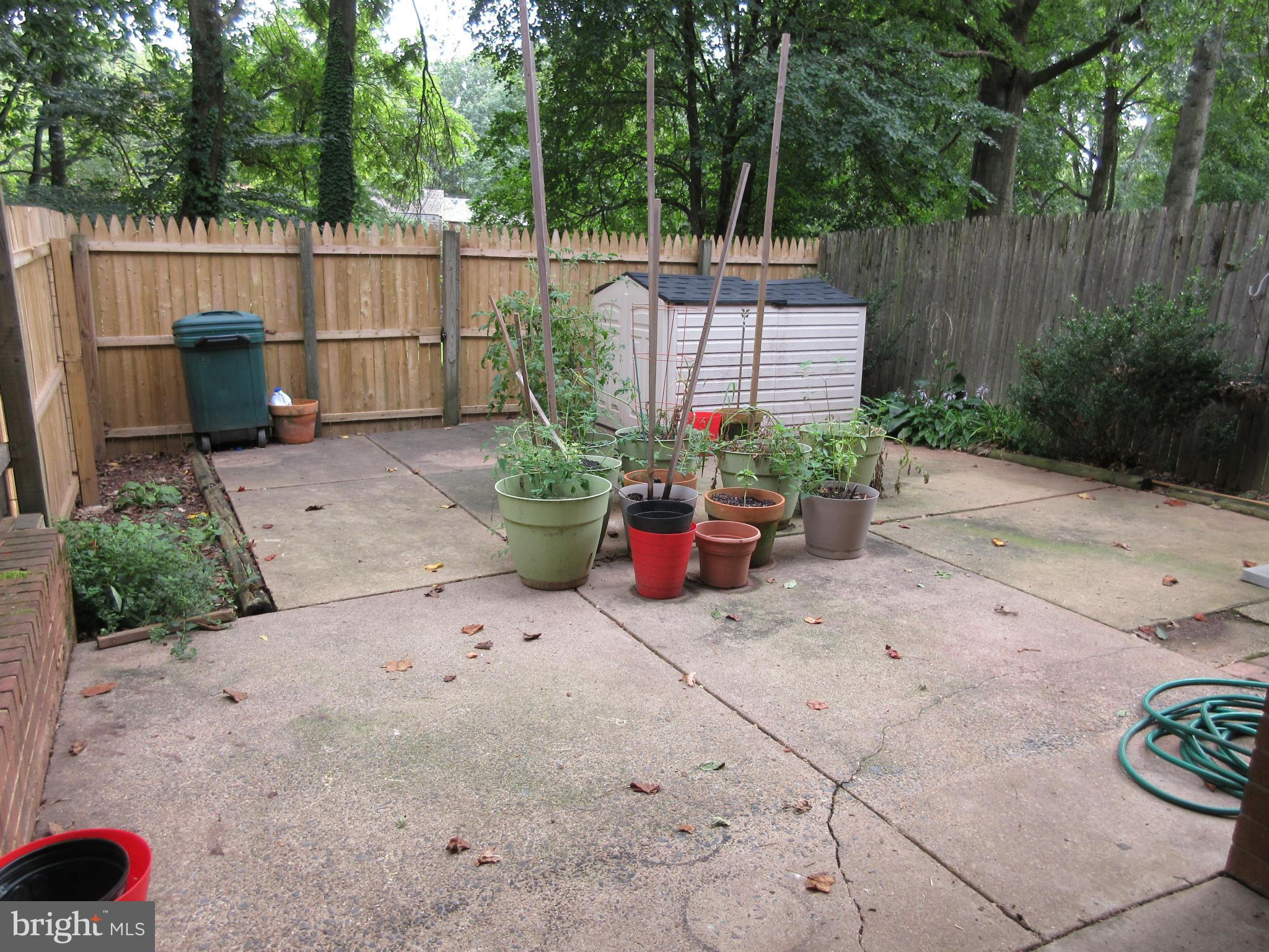 AMERICANA FAIRFAX - Residential Lease