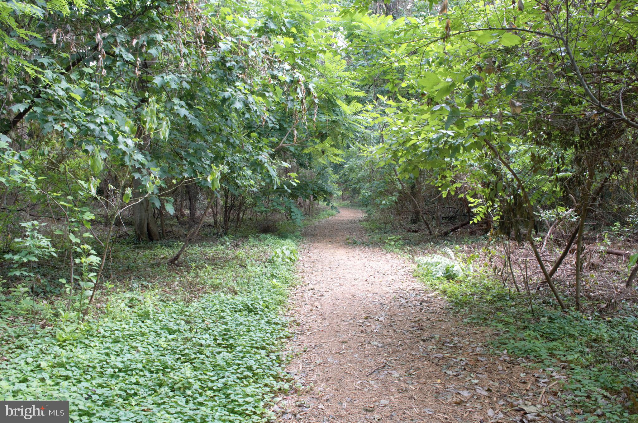 ATLANTIS - Residential Lease